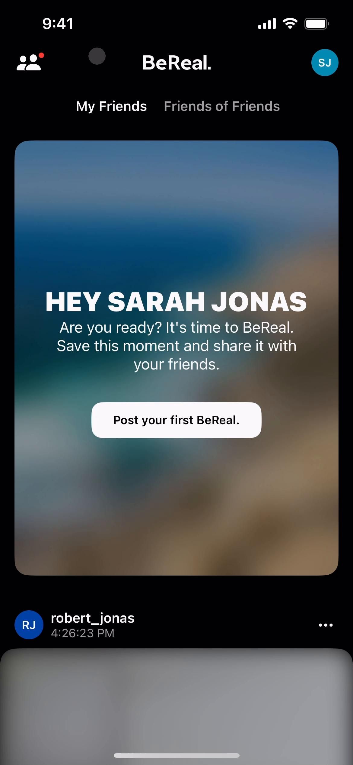 Video preview