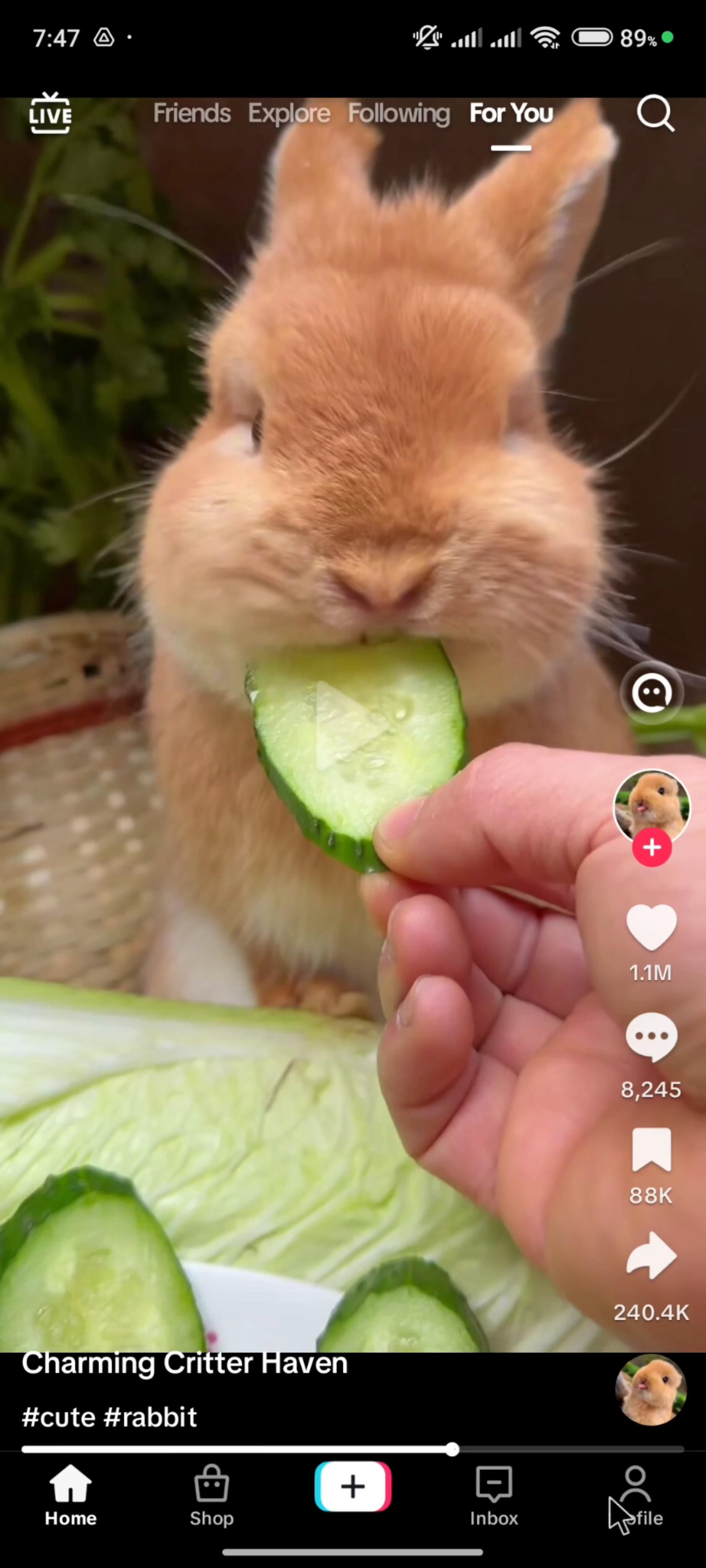 Updating your profile on TikTok video thumbnail