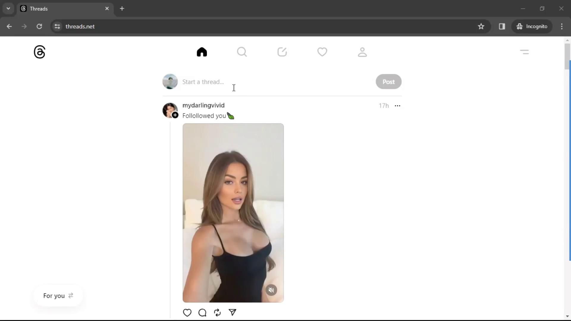 Video preview