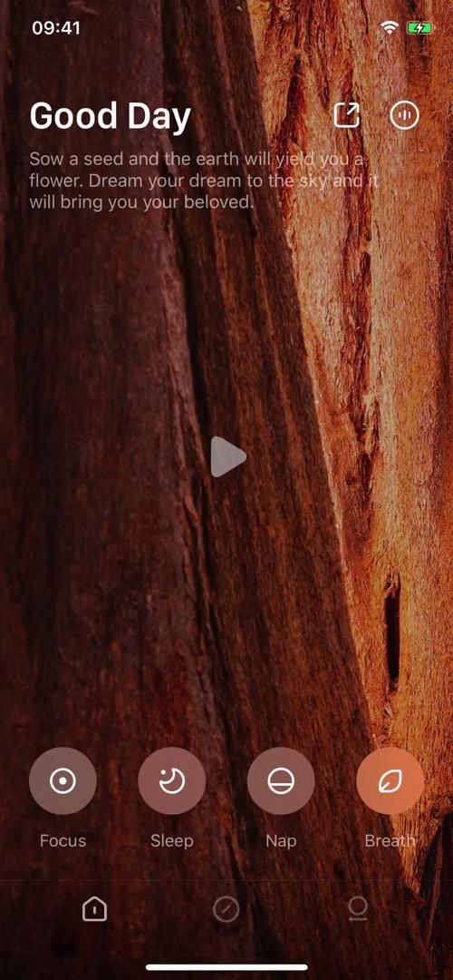 Video preview