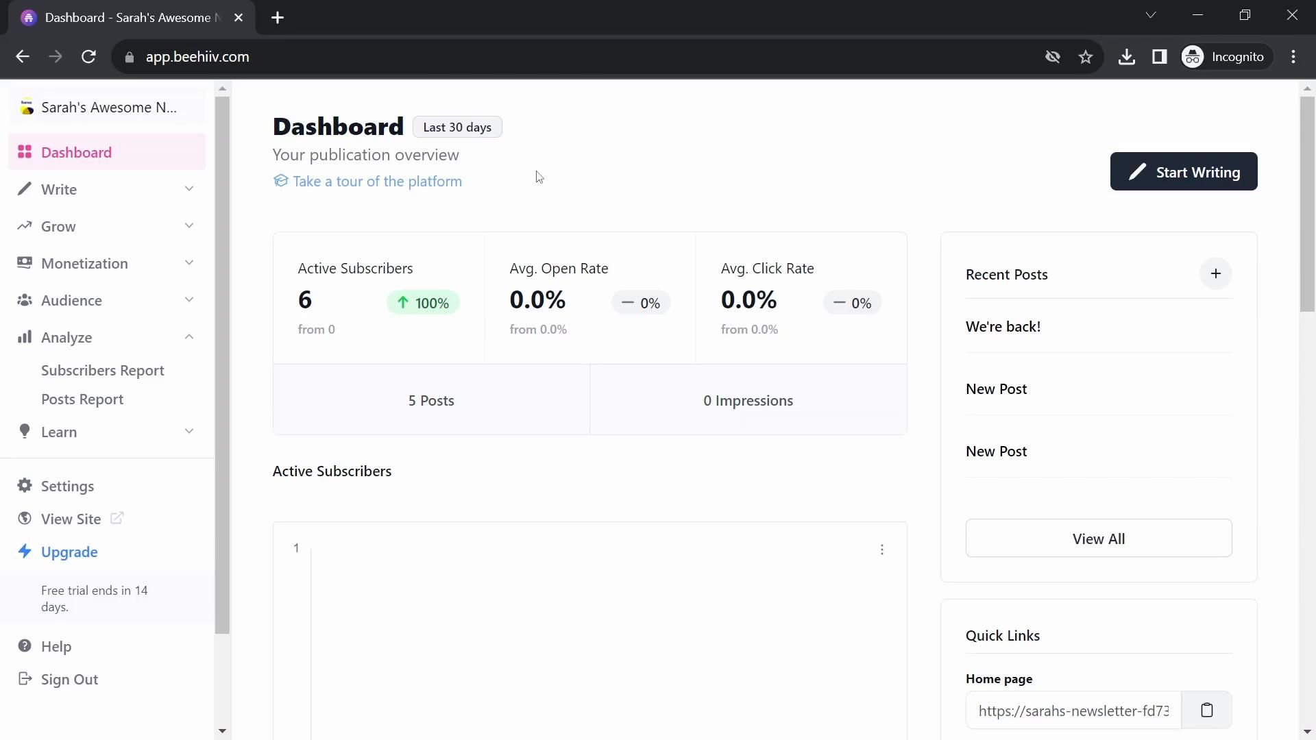 Beehiiv screenshot