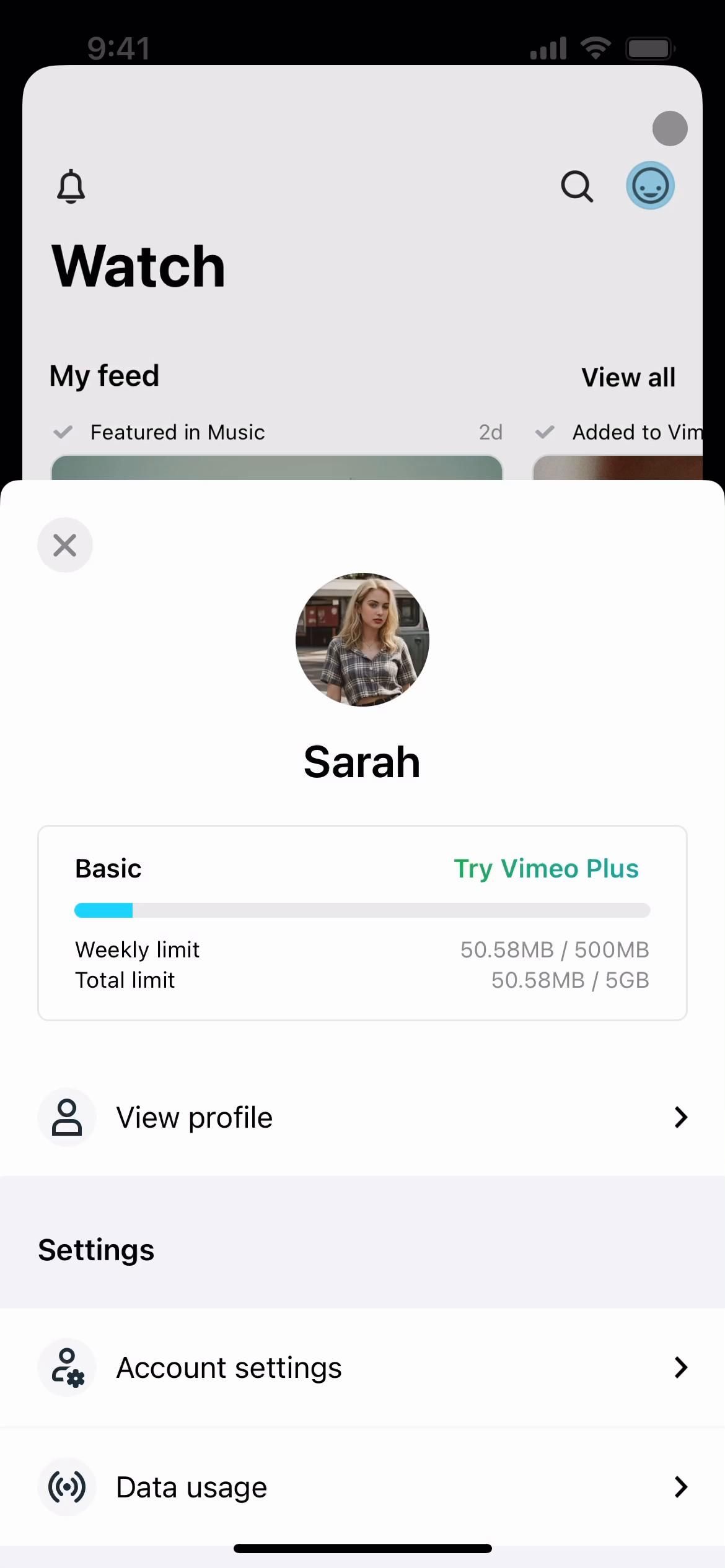 Video preview