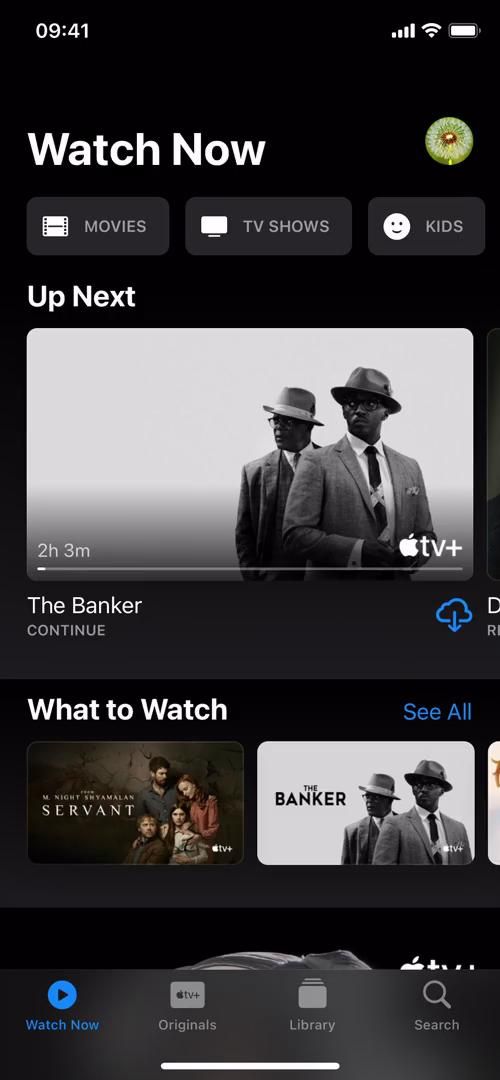 Video preview