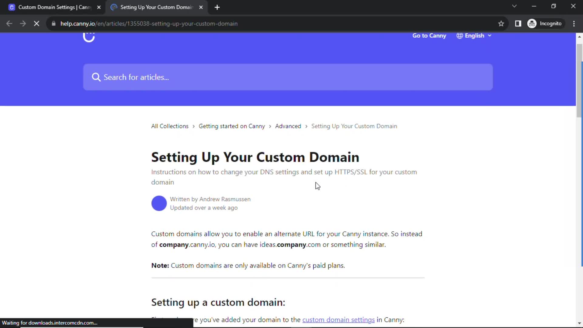 Adding a custom domain on Canny video thumbnail