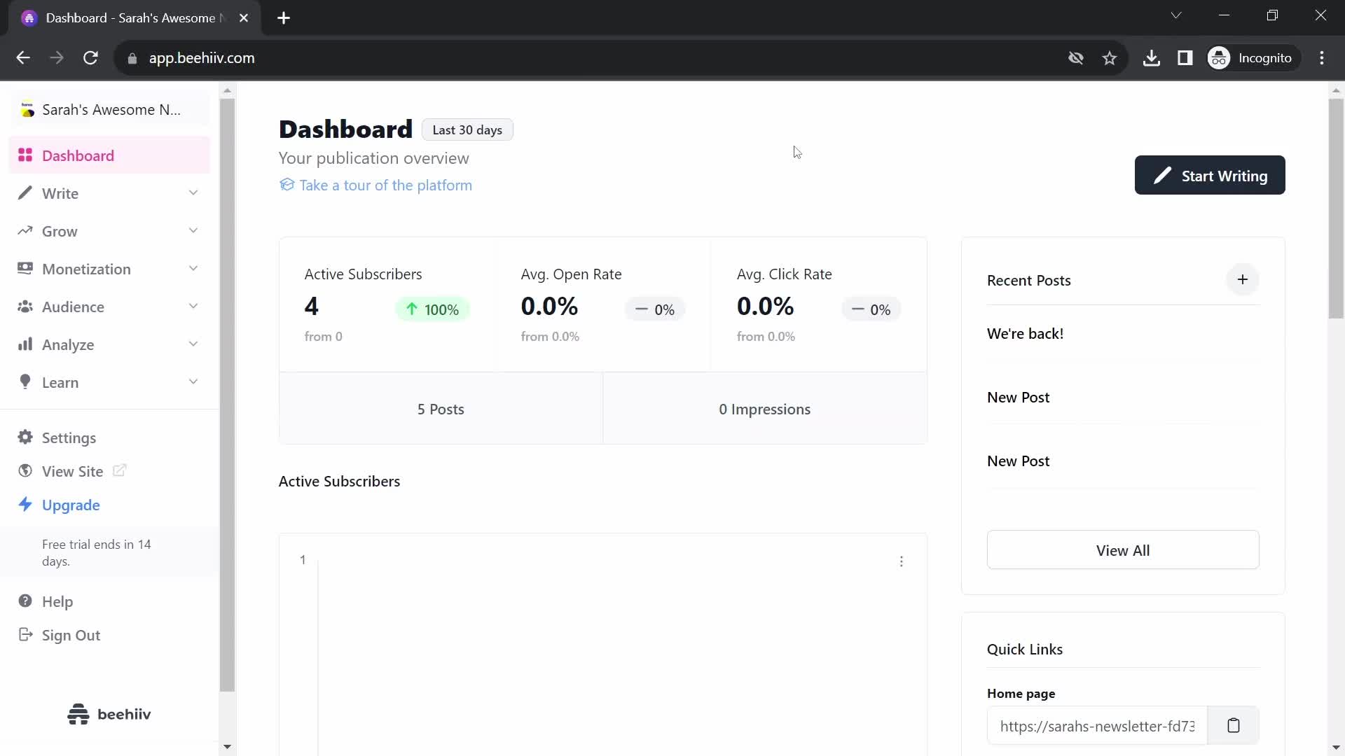Screenshot of Dashboard on Analytics/Stats on Beehiiv user flow