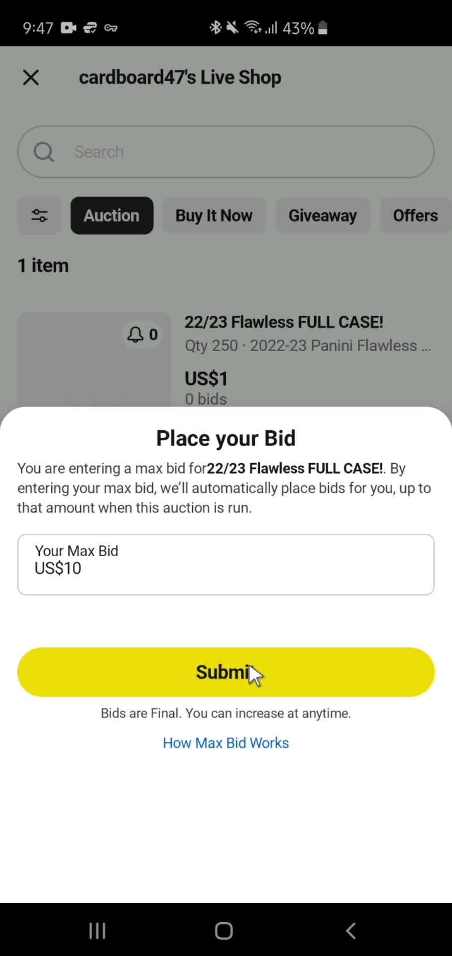 Bidding screenshot