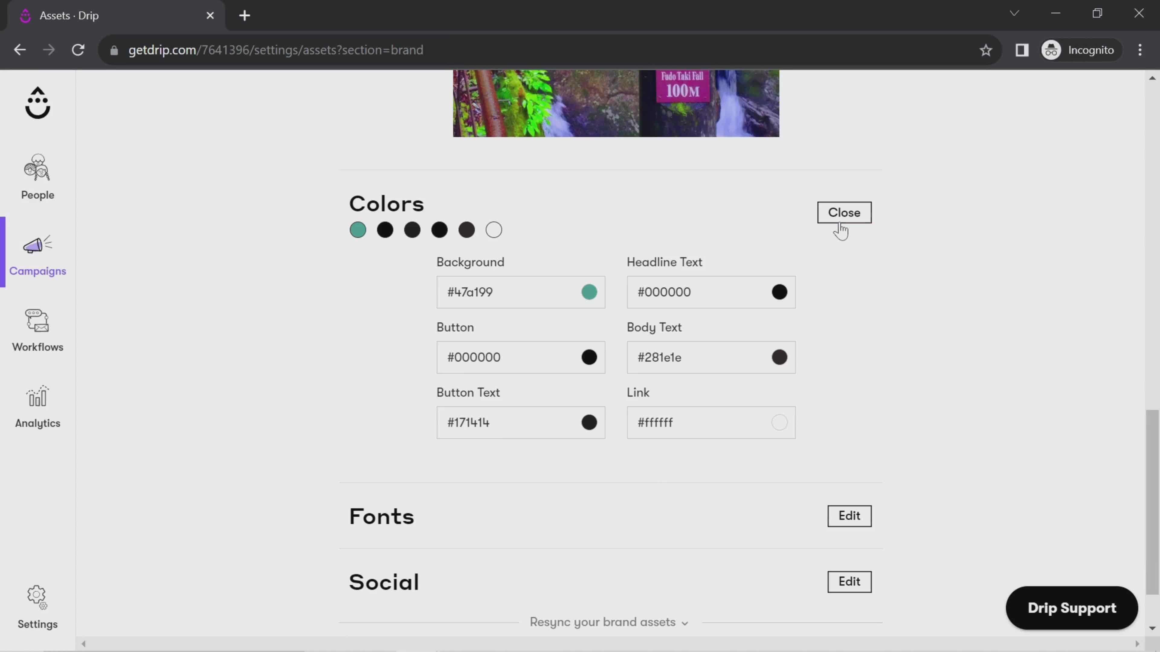 Brand styles screenshot