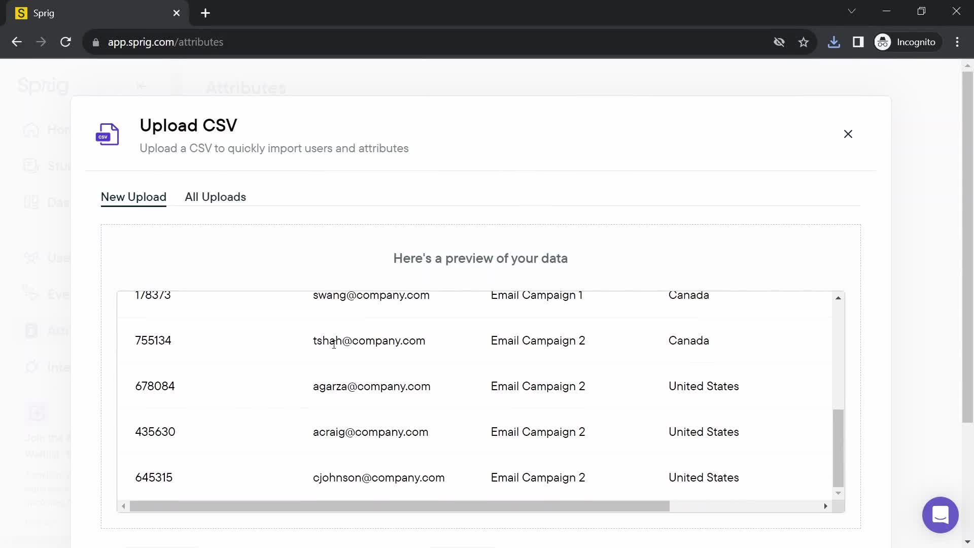 CSV import screenshot