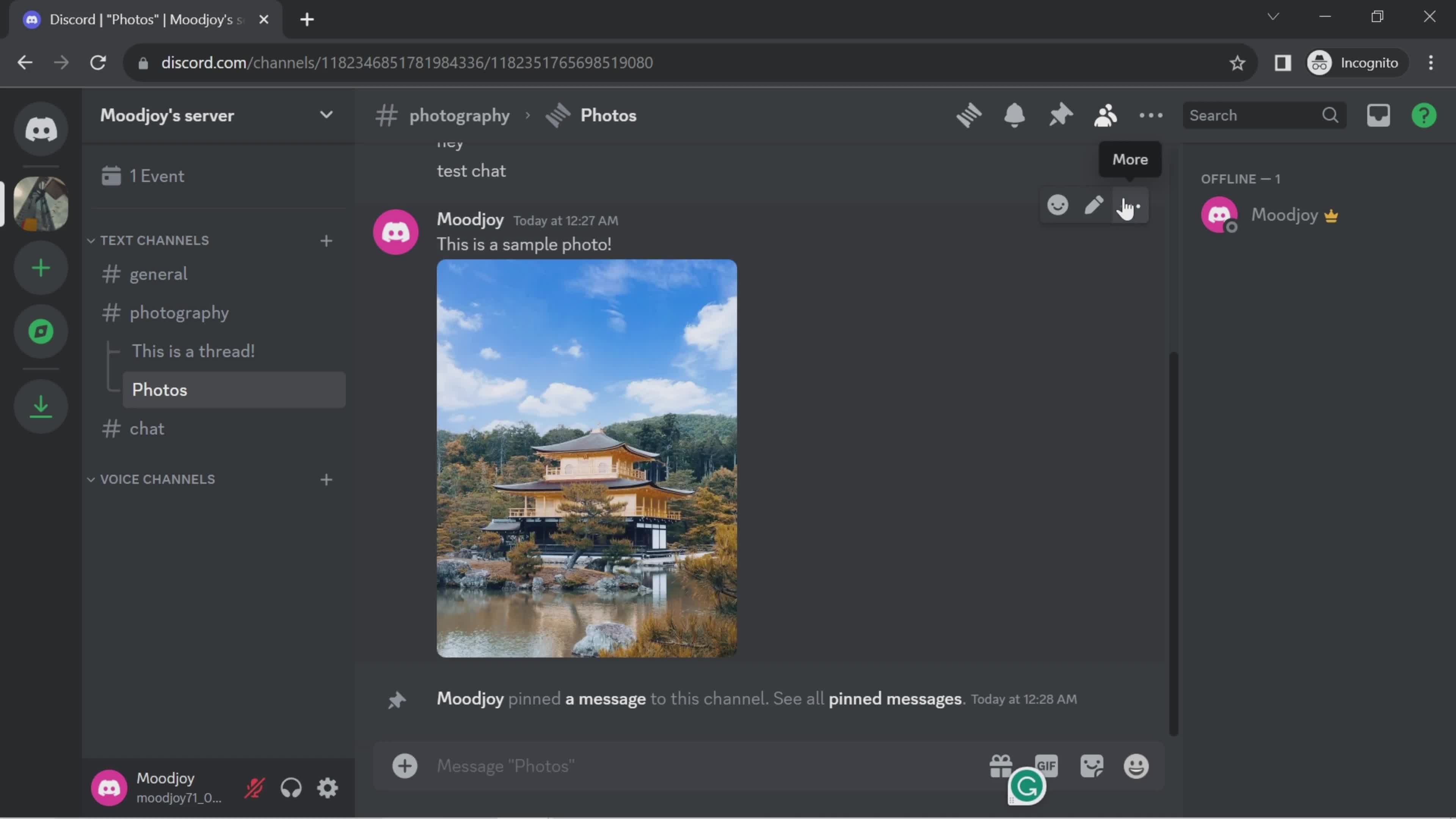 Chat screenshot