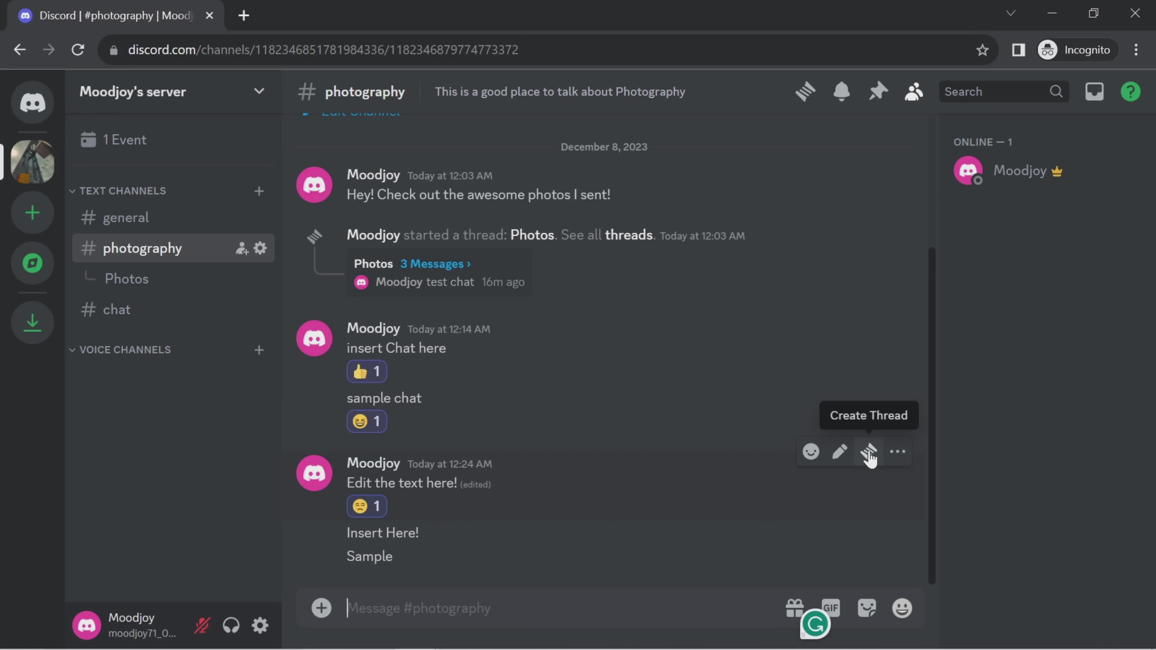 Chat screenshot