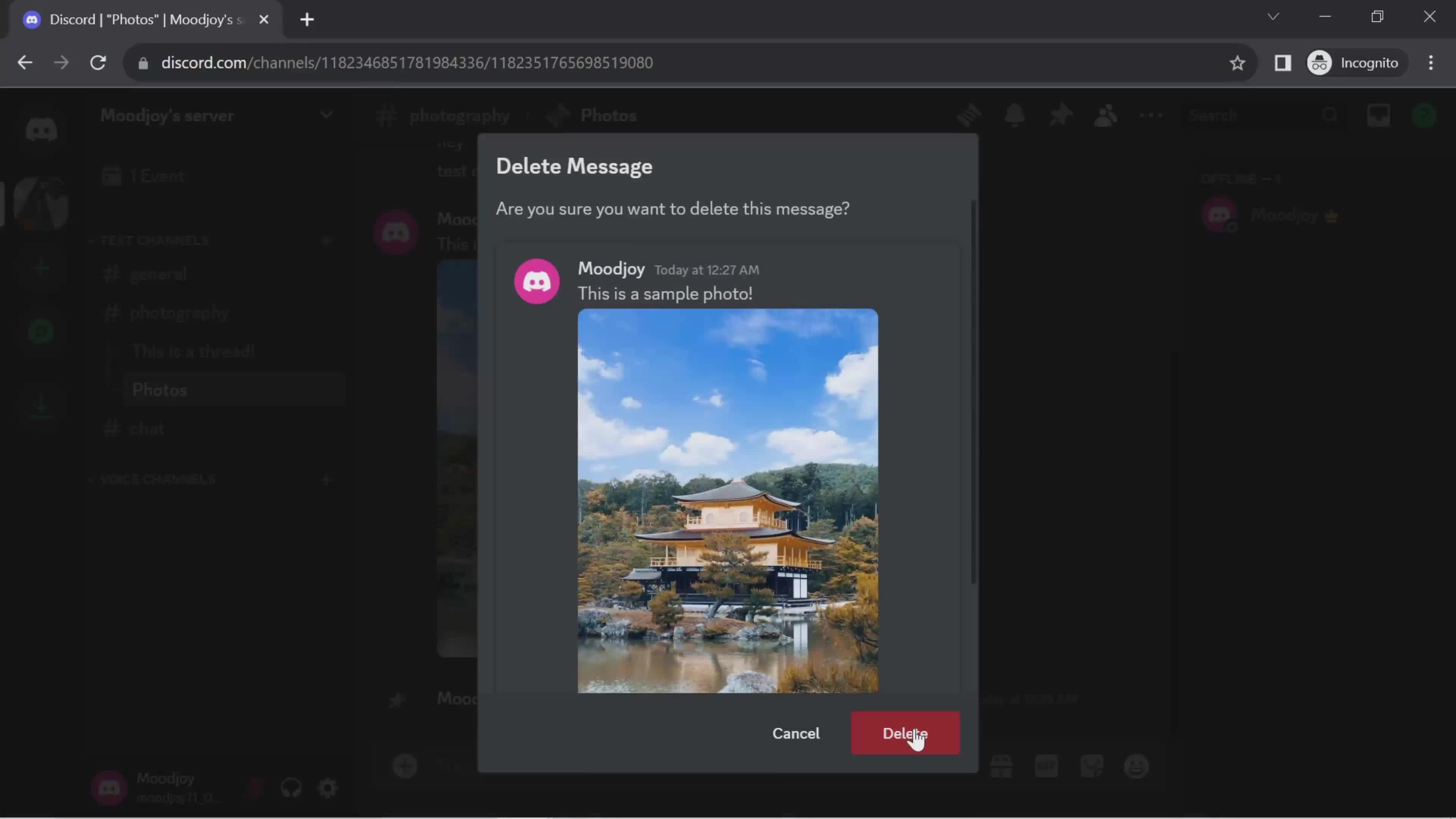 Chat screenshot