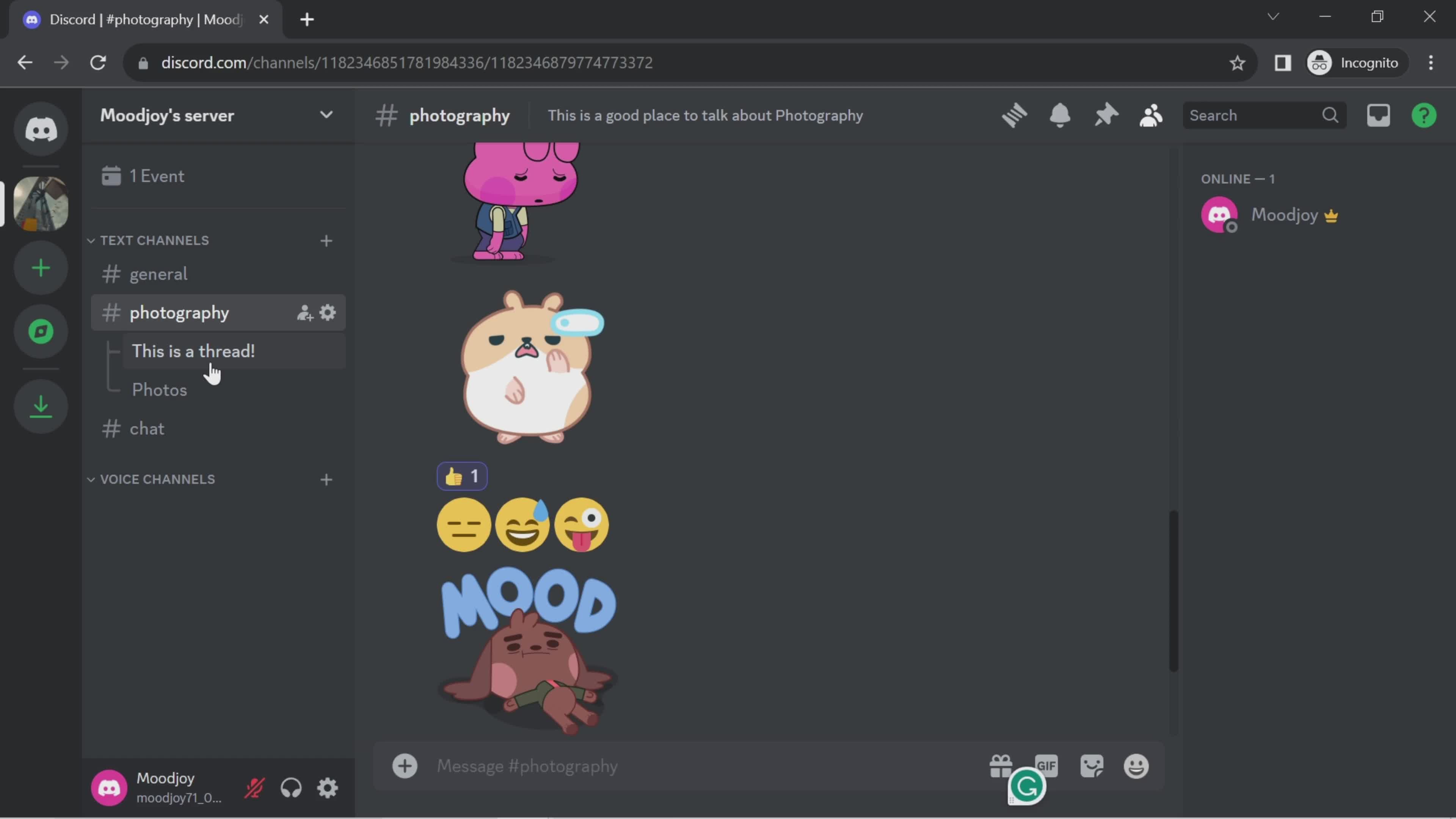 Chat screenshot