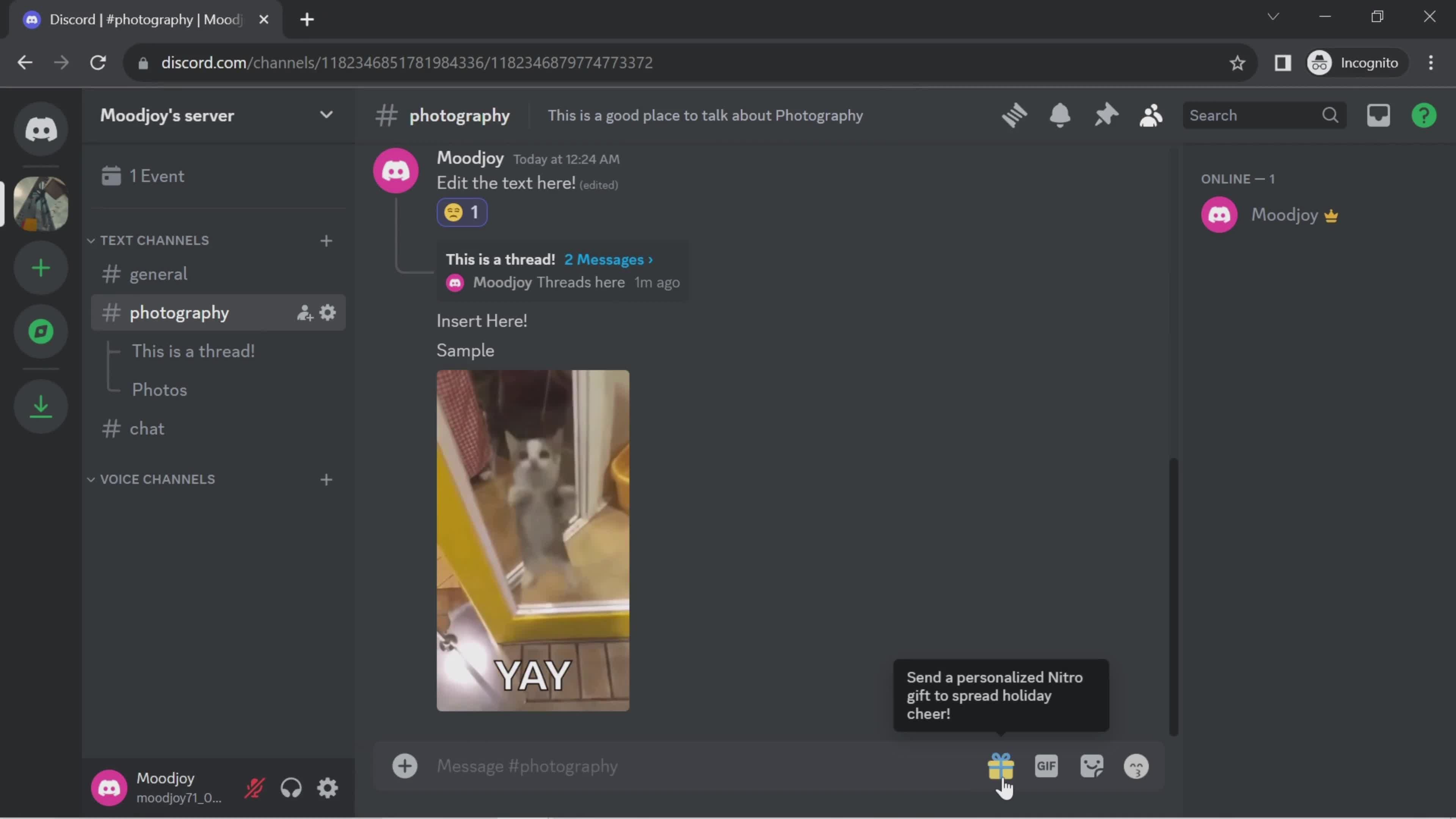 Chat screenshot