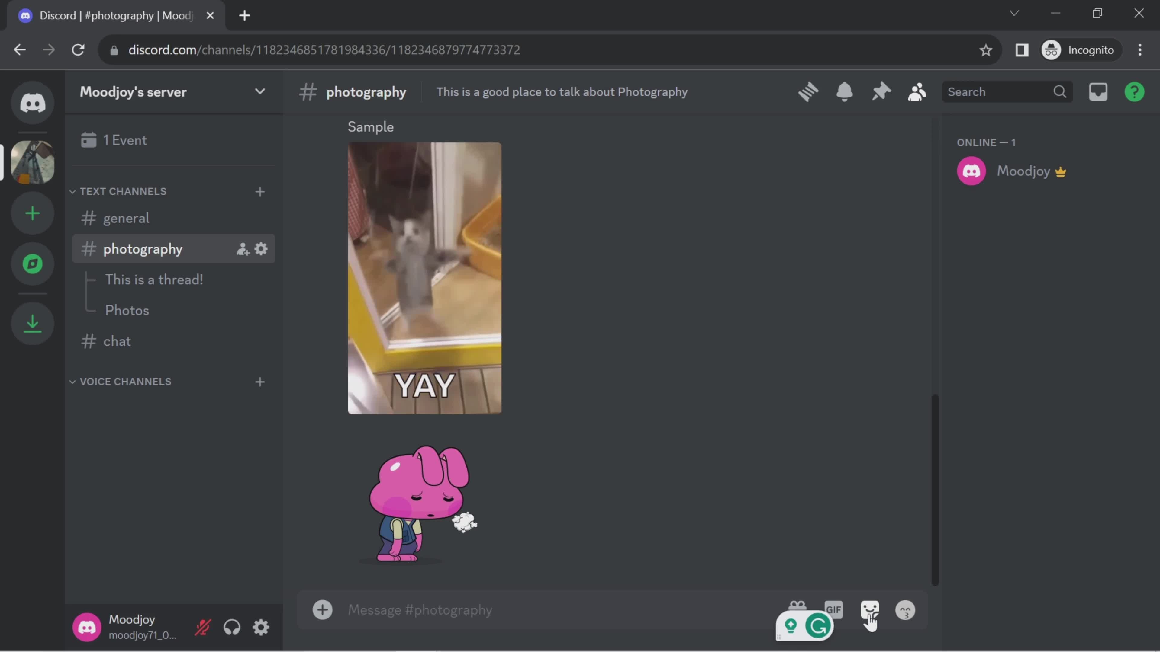 Chat screenshot