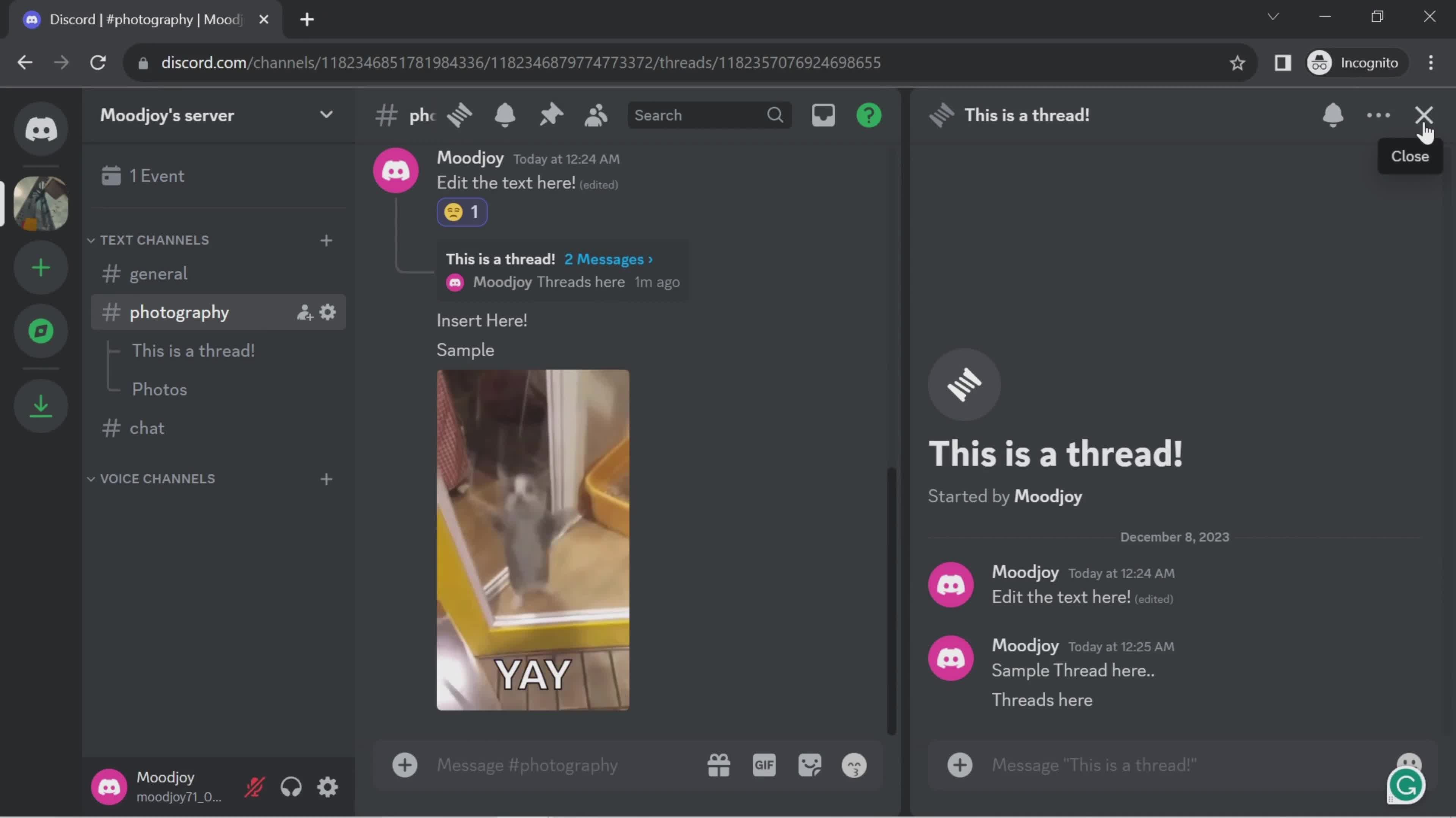 Chat screenshot