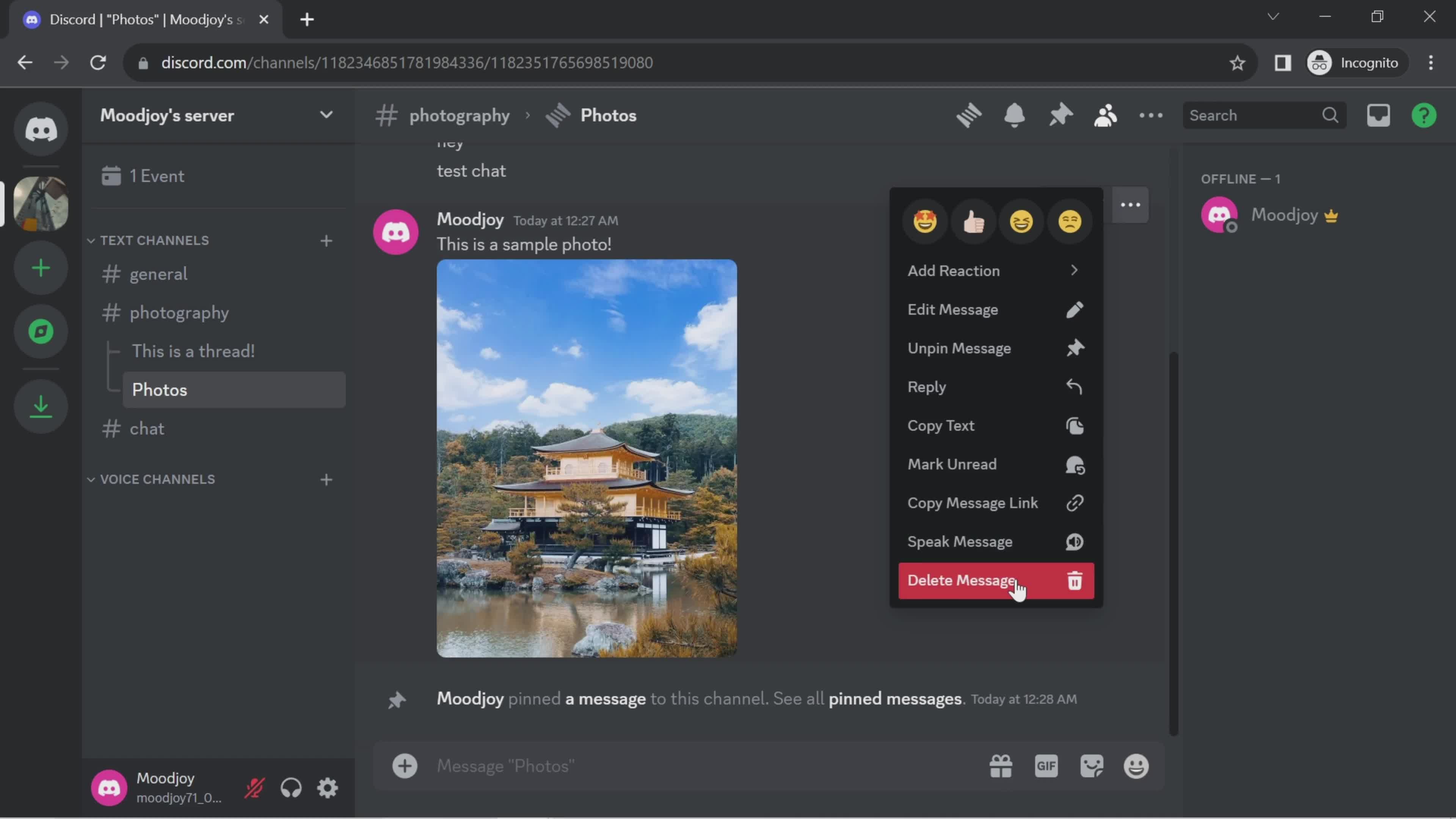 Chat screenshot