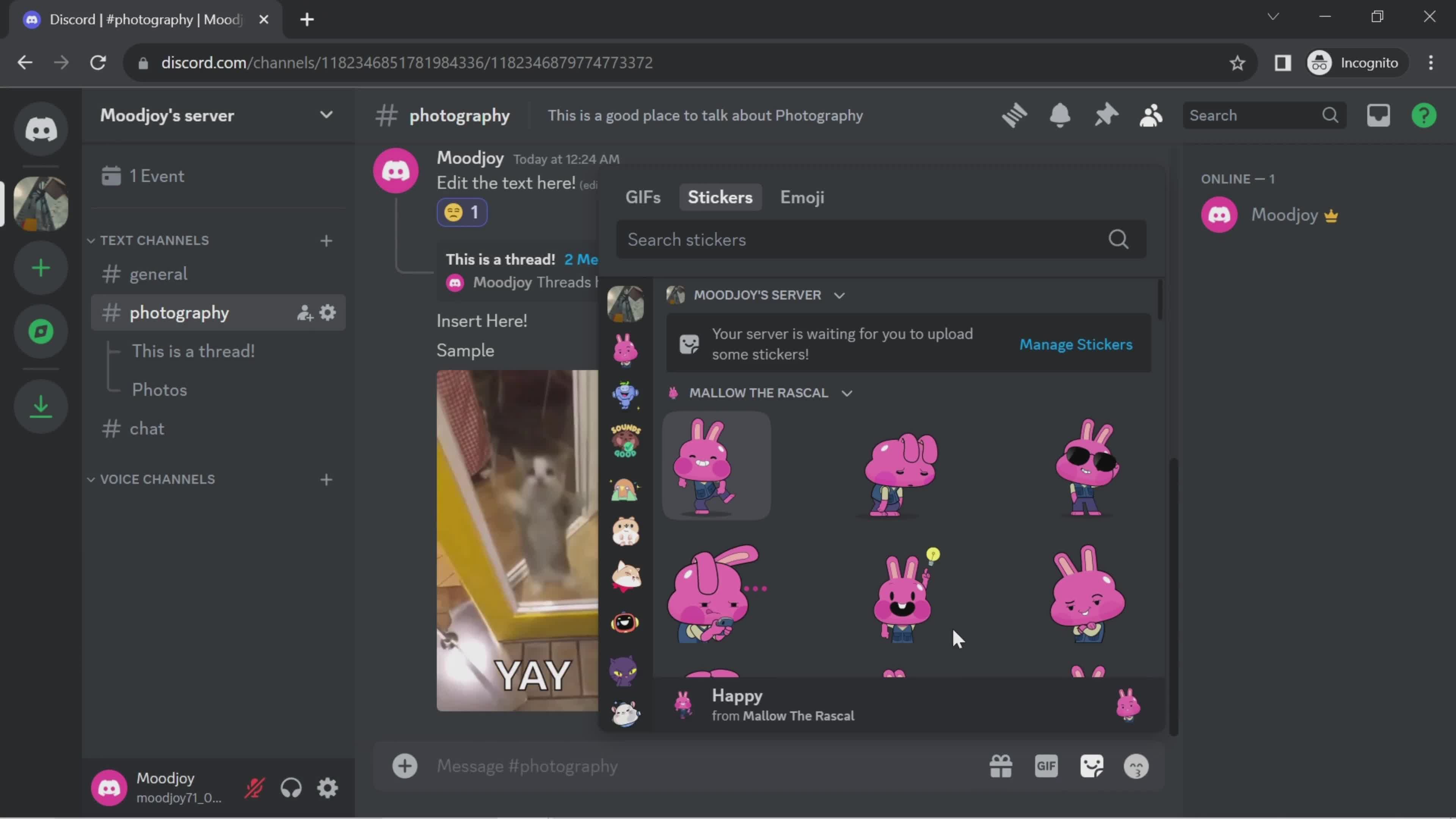 Chat screenshot