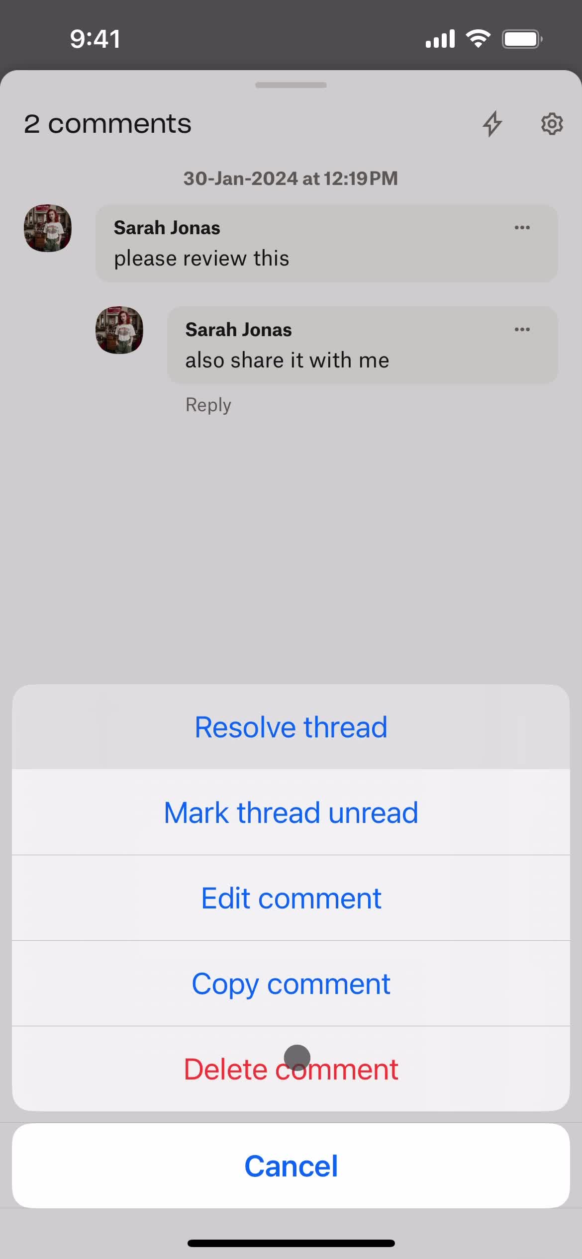 Commenting screenshot