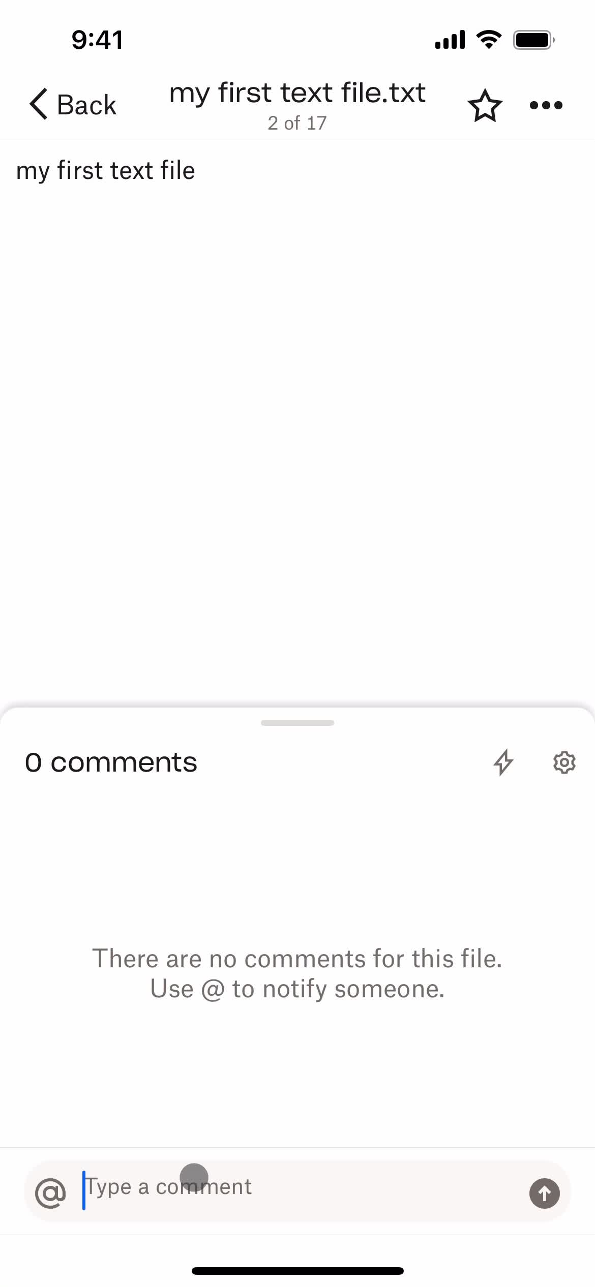 Commenting screenshot