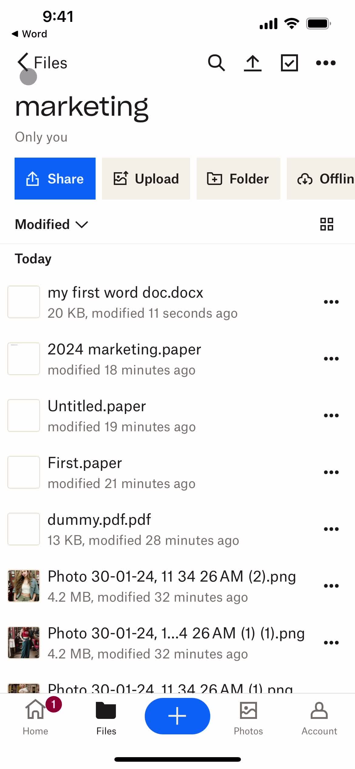 Creating a document screenshot