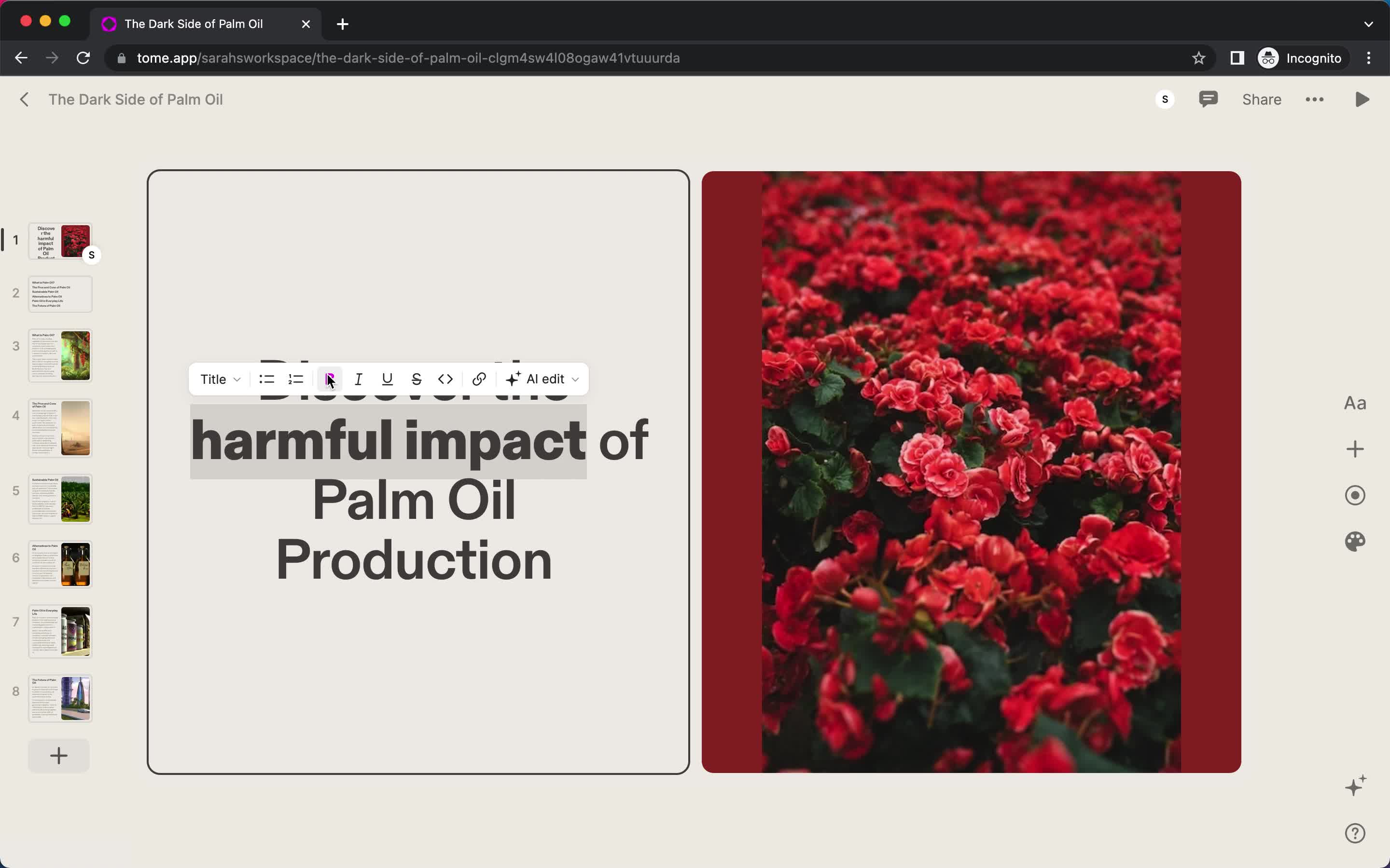 Creating a presentation screenshot