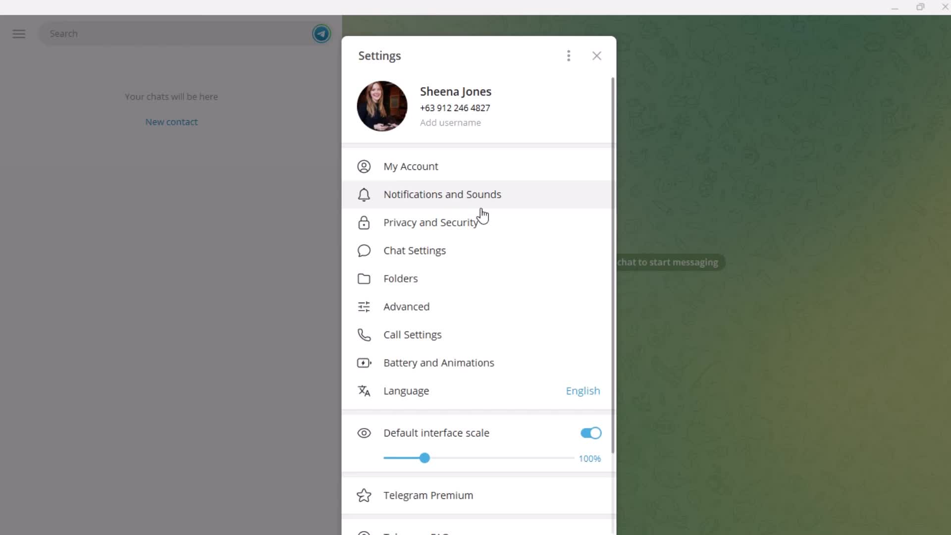 Settings on Telegram Desktop Examples | Page Flows (video & 33 screenshots)