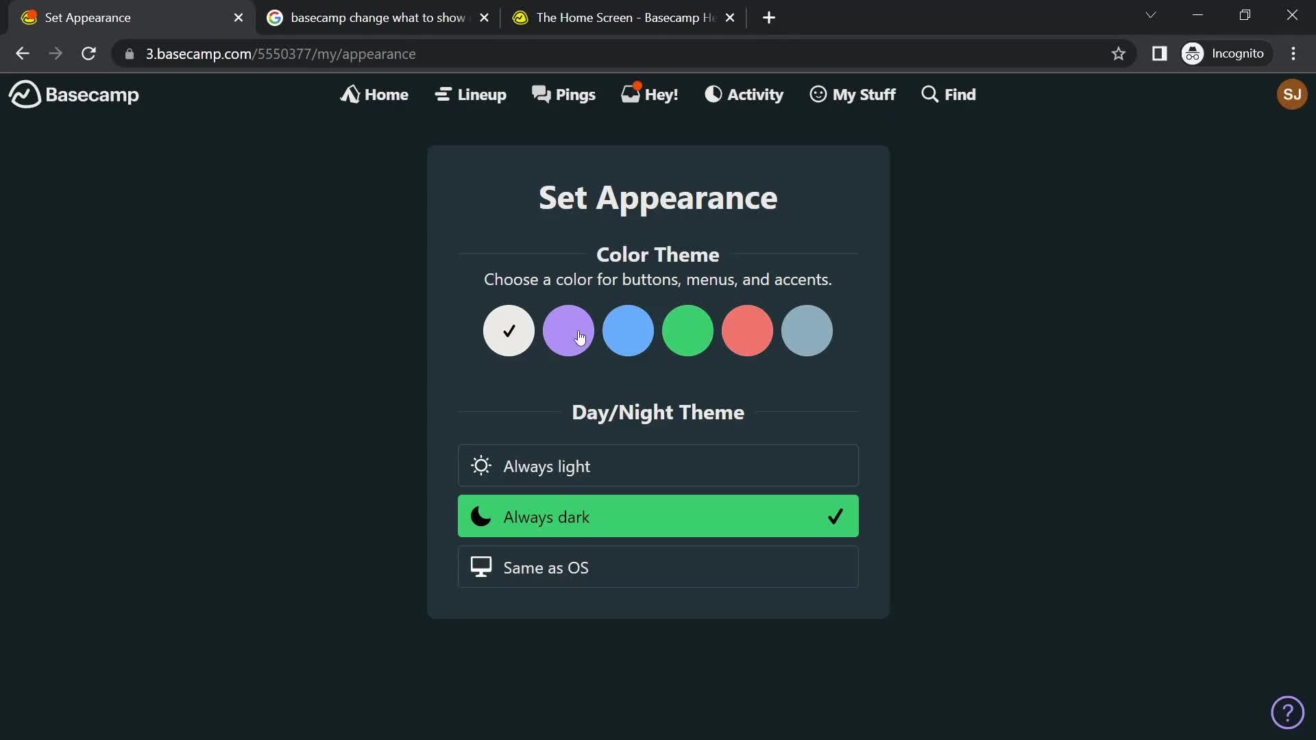 Customization settings on Basecamp video thumbnail