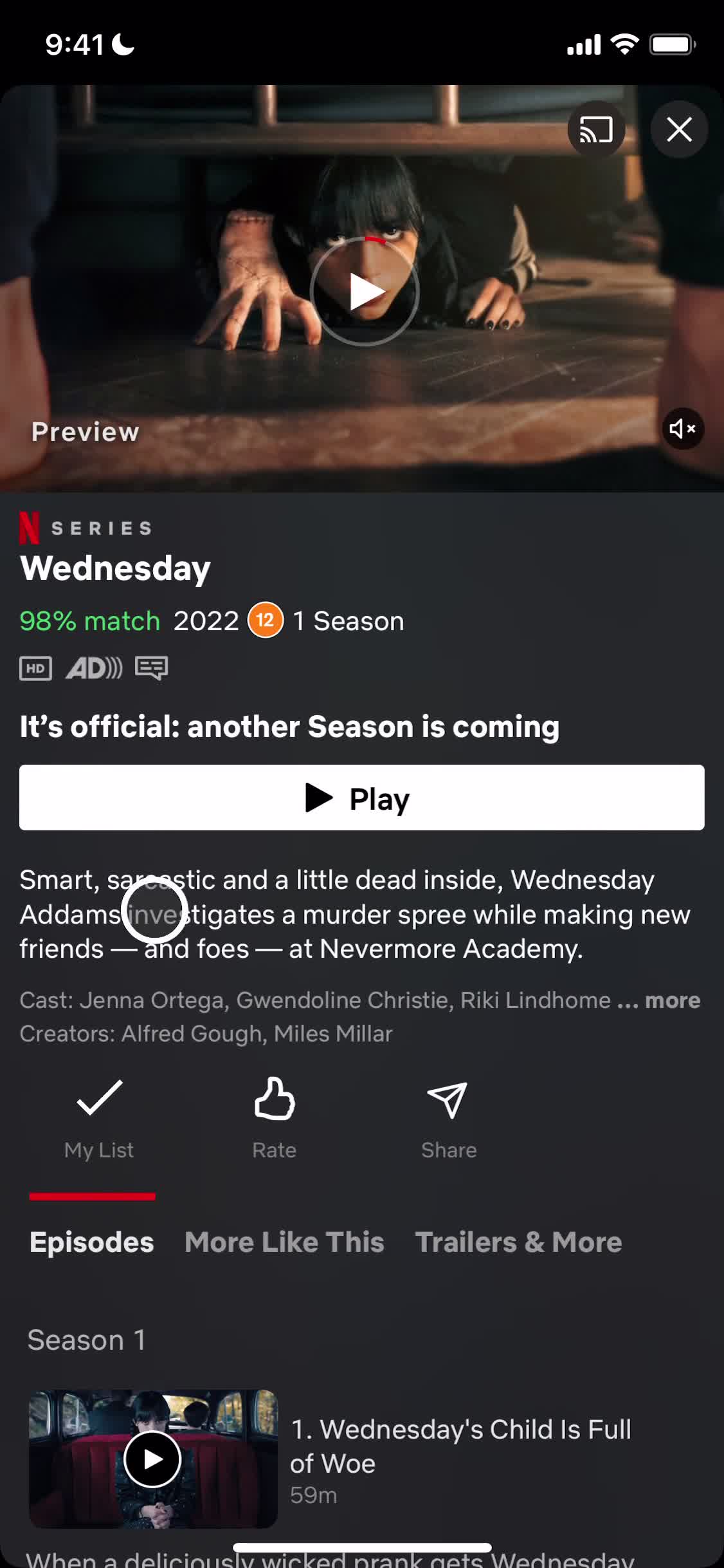 Netflix show details screenshot
