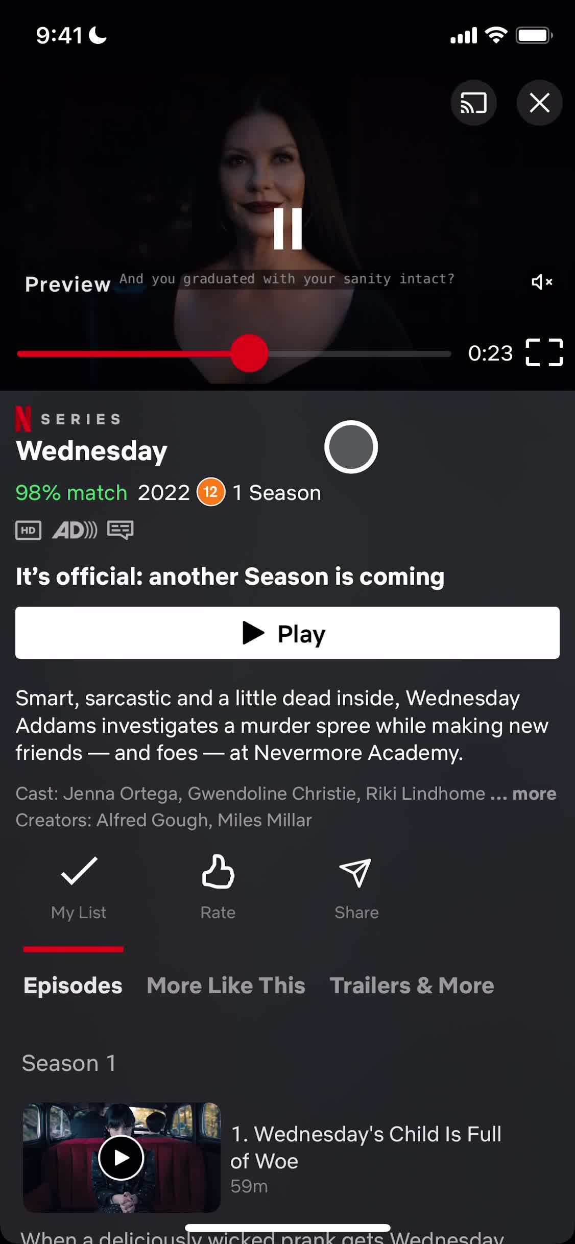 Netflix preview screenshot