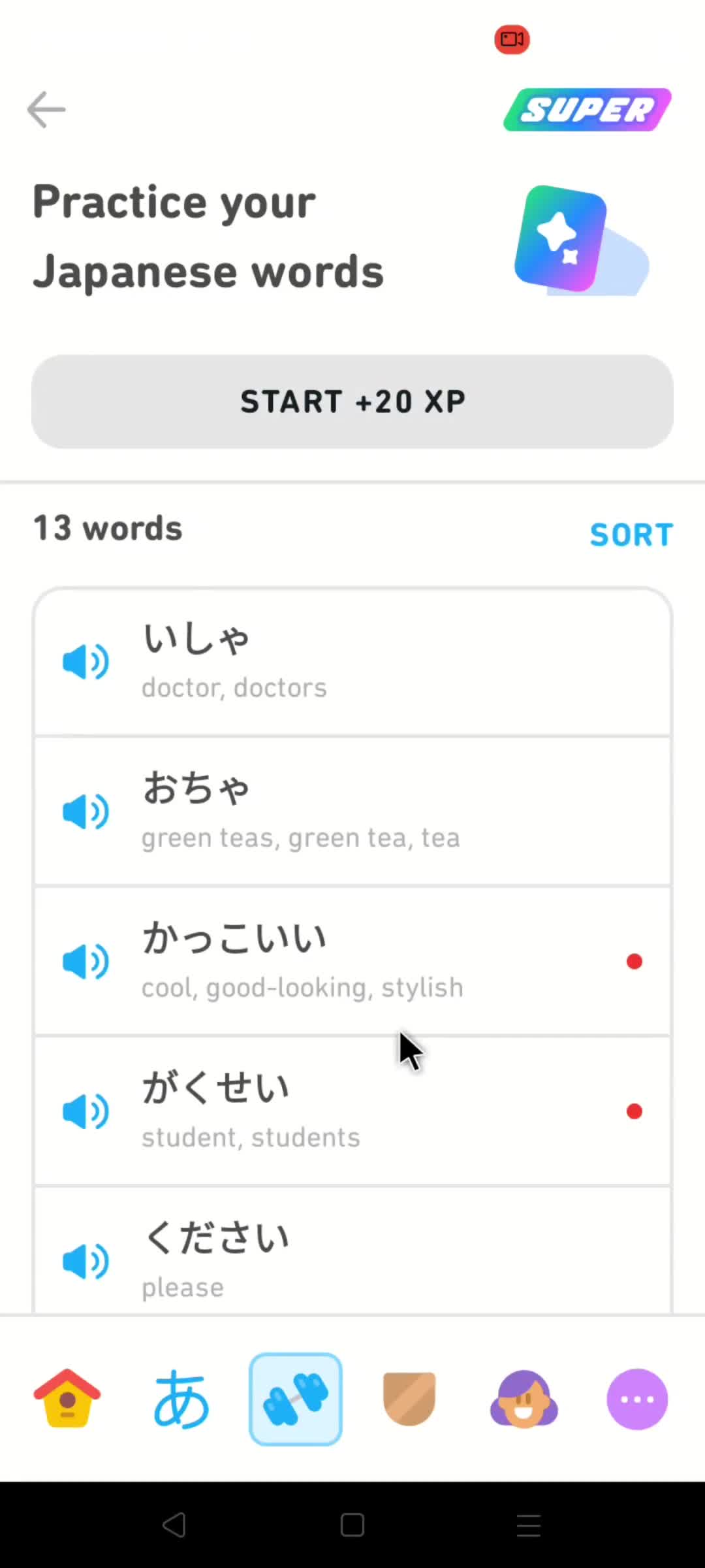 Duolingo filtered results screenshot