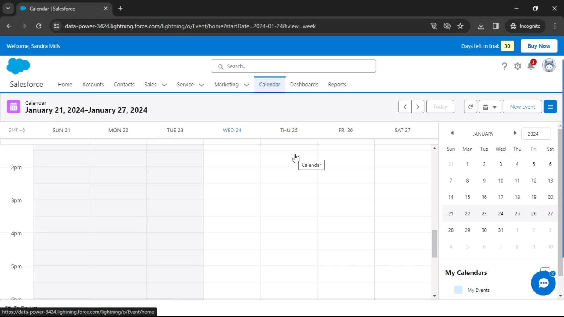 Salesforce calendar screenshot