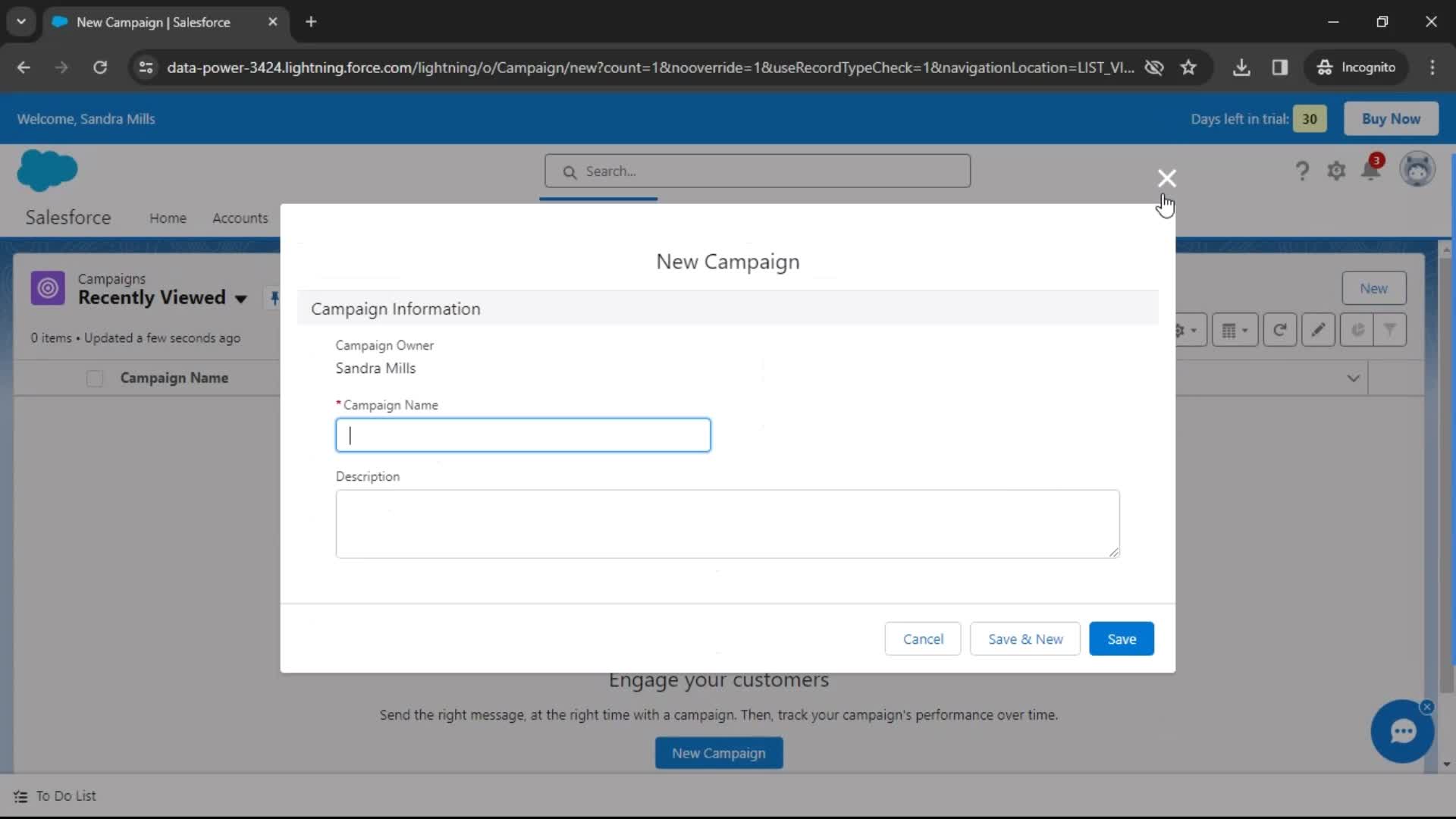 Salesforce create campaign from template screenshot