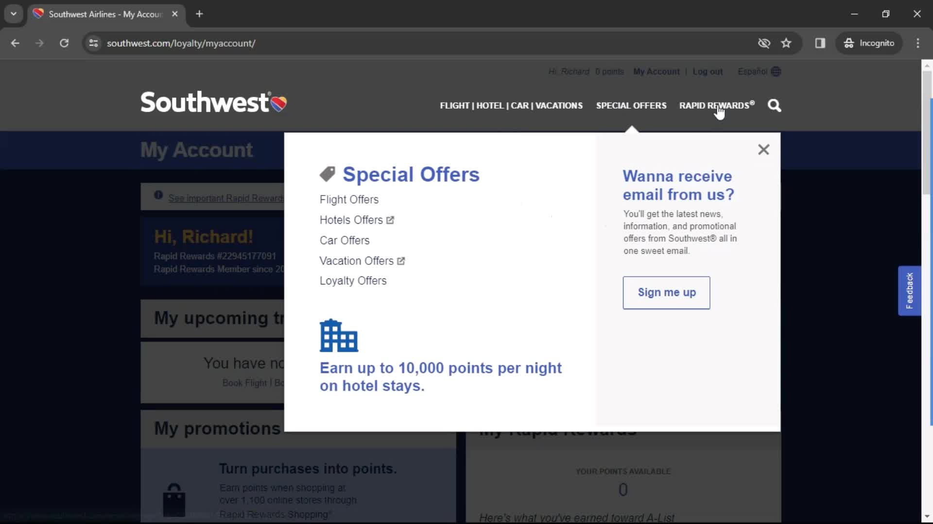 General browsing on Southwest Airlines video thumbnail