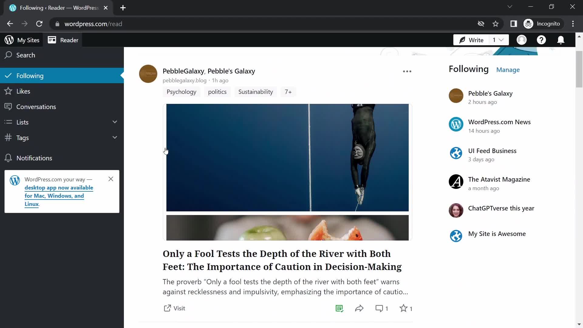 WordPress activity feed screenshot