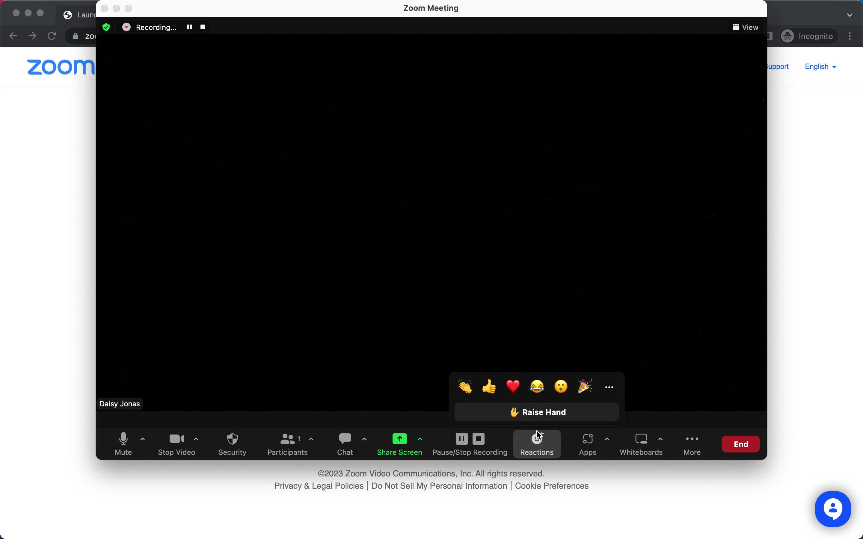 Video calls on Zoom video thumbnail