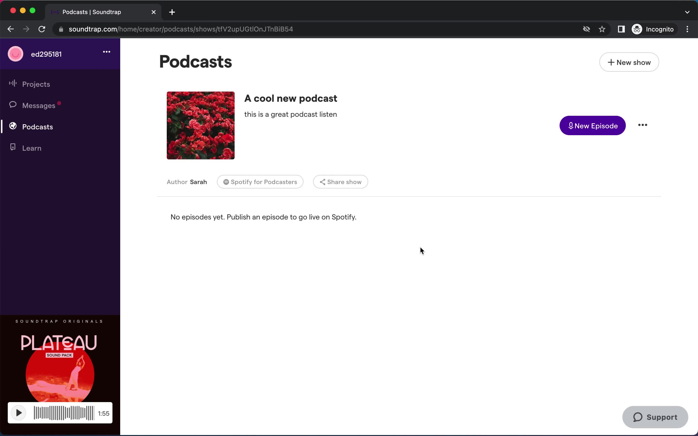 Creating a podcast screenshot