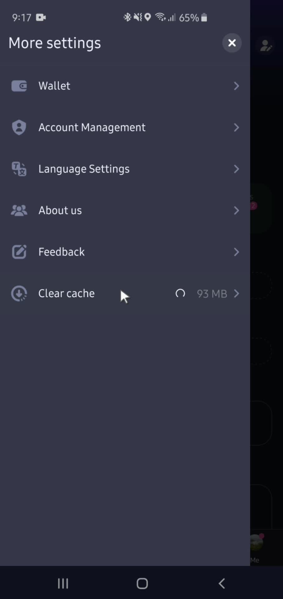 Settings screenshot