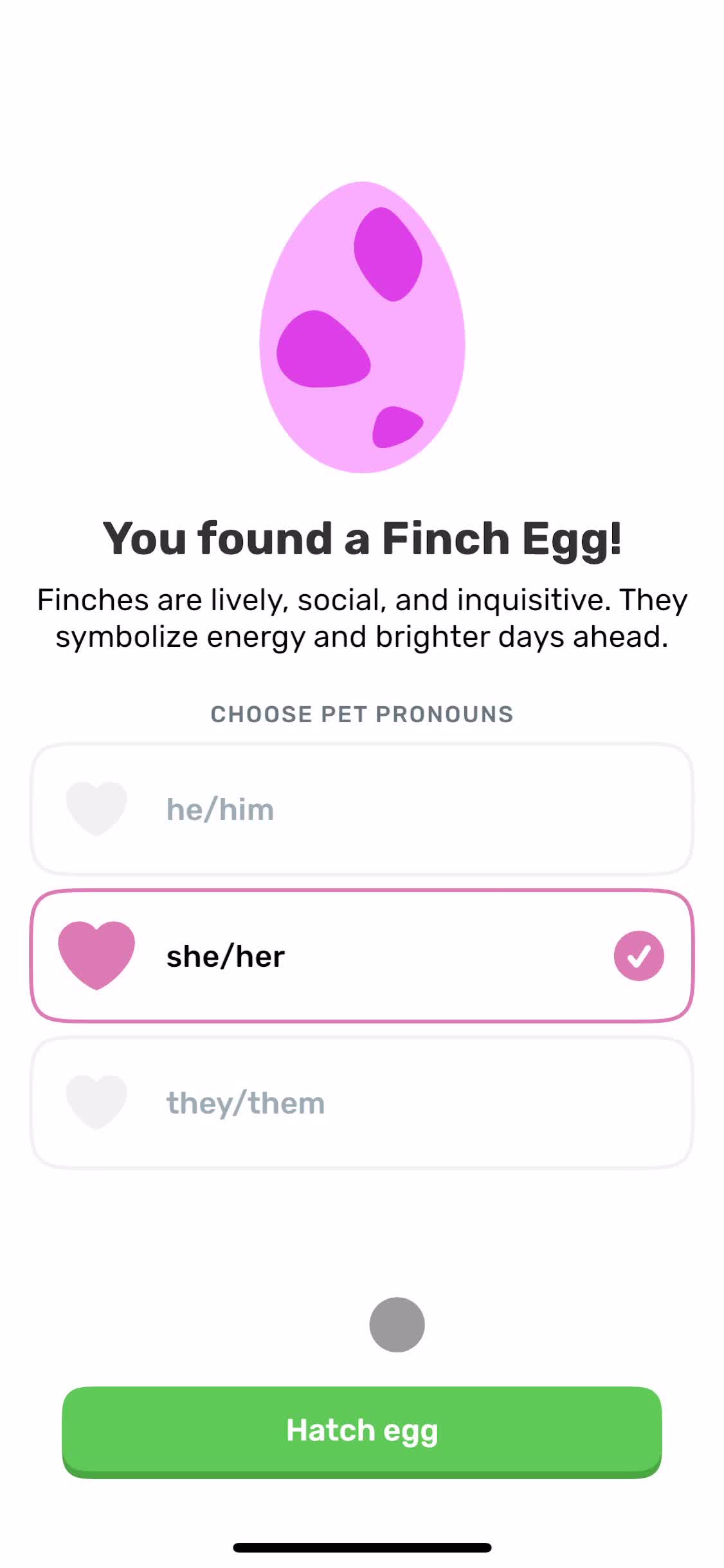 Finch set pronouns screenshot