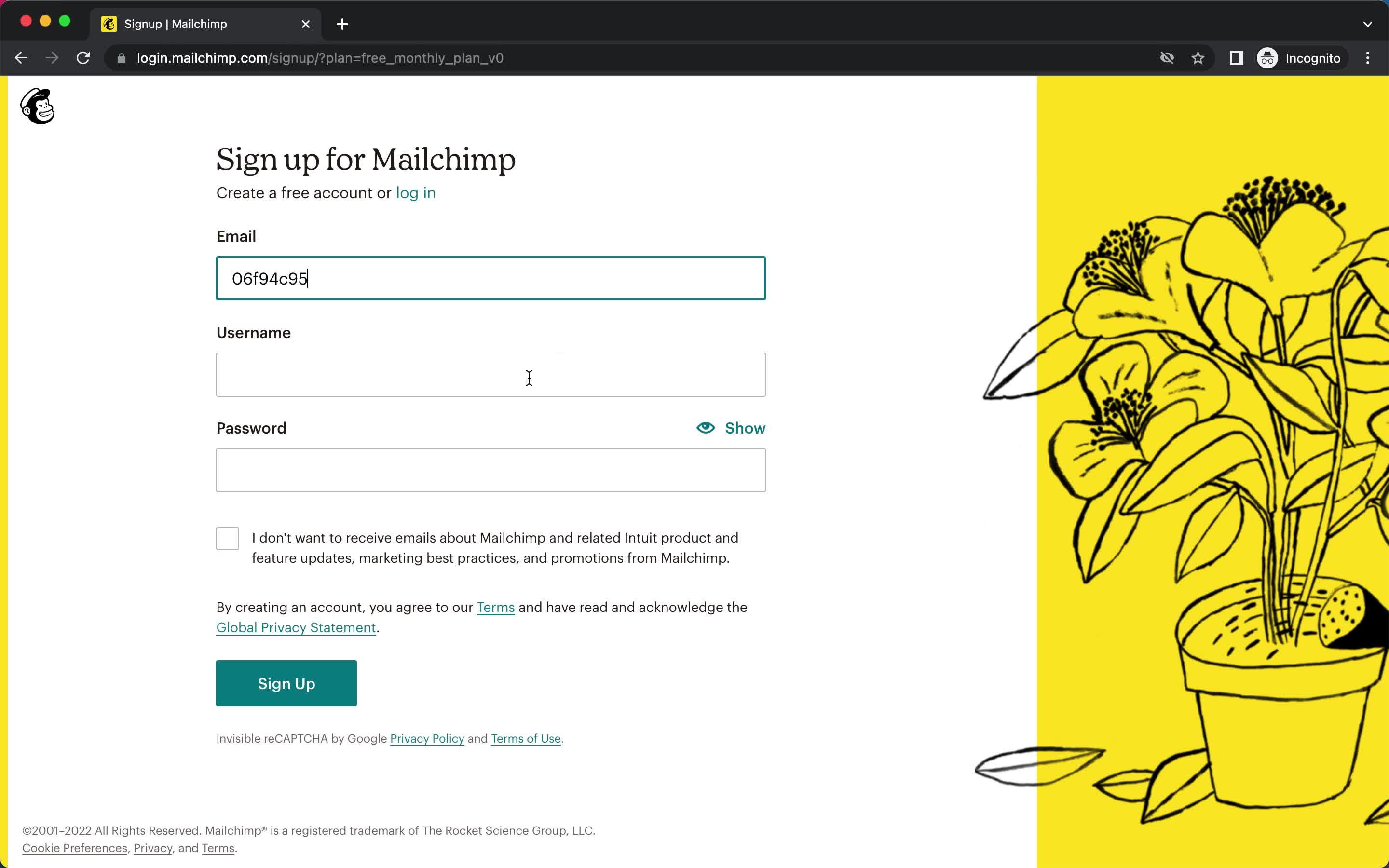 Mailchimp sign up screenshot
