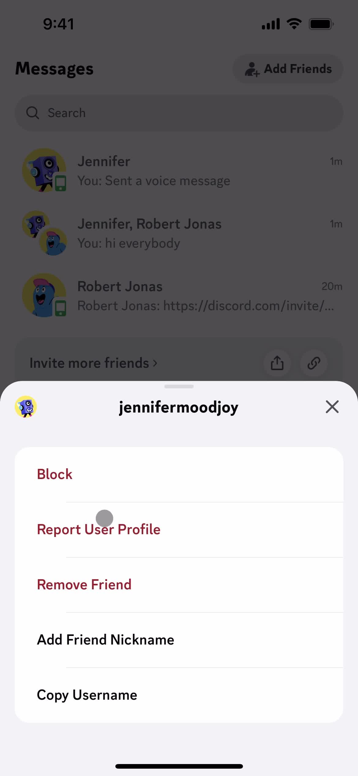 Reporting a user screenshot