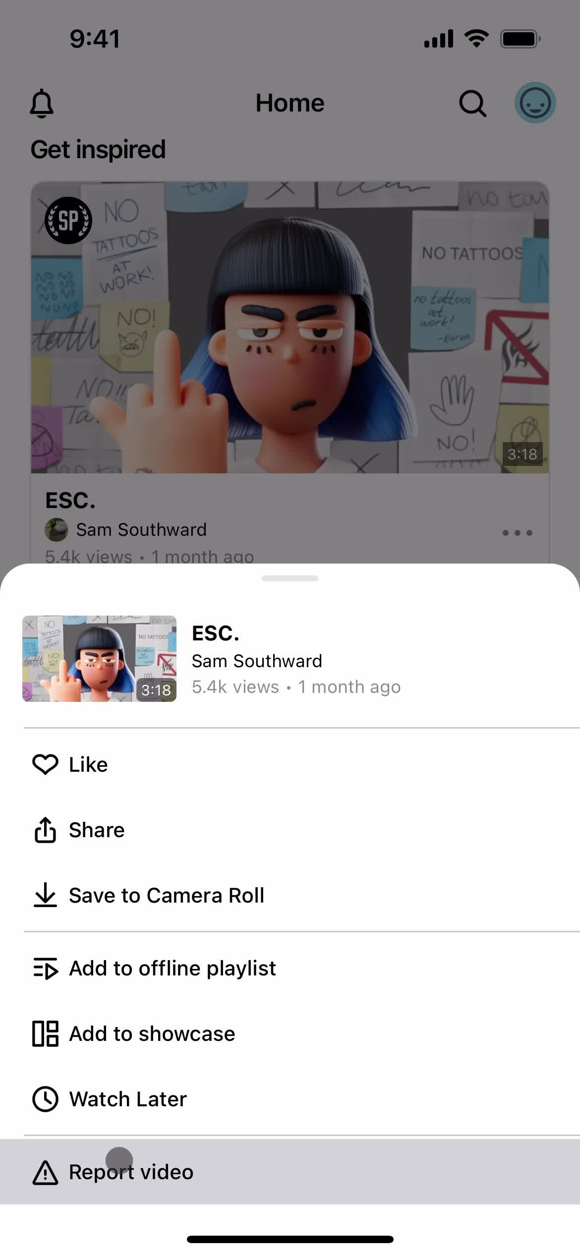 Reporting a video screenshot