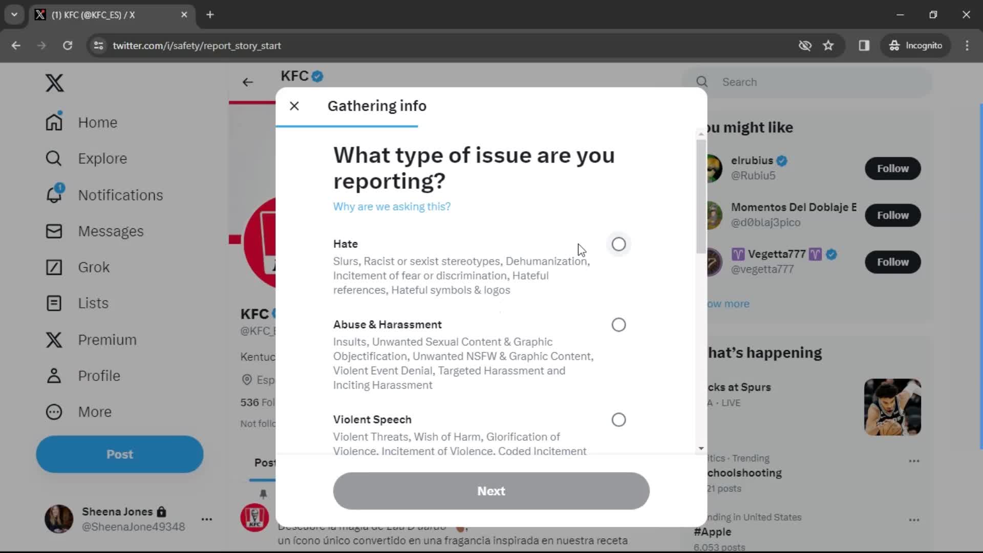 Reporting a user screenshot