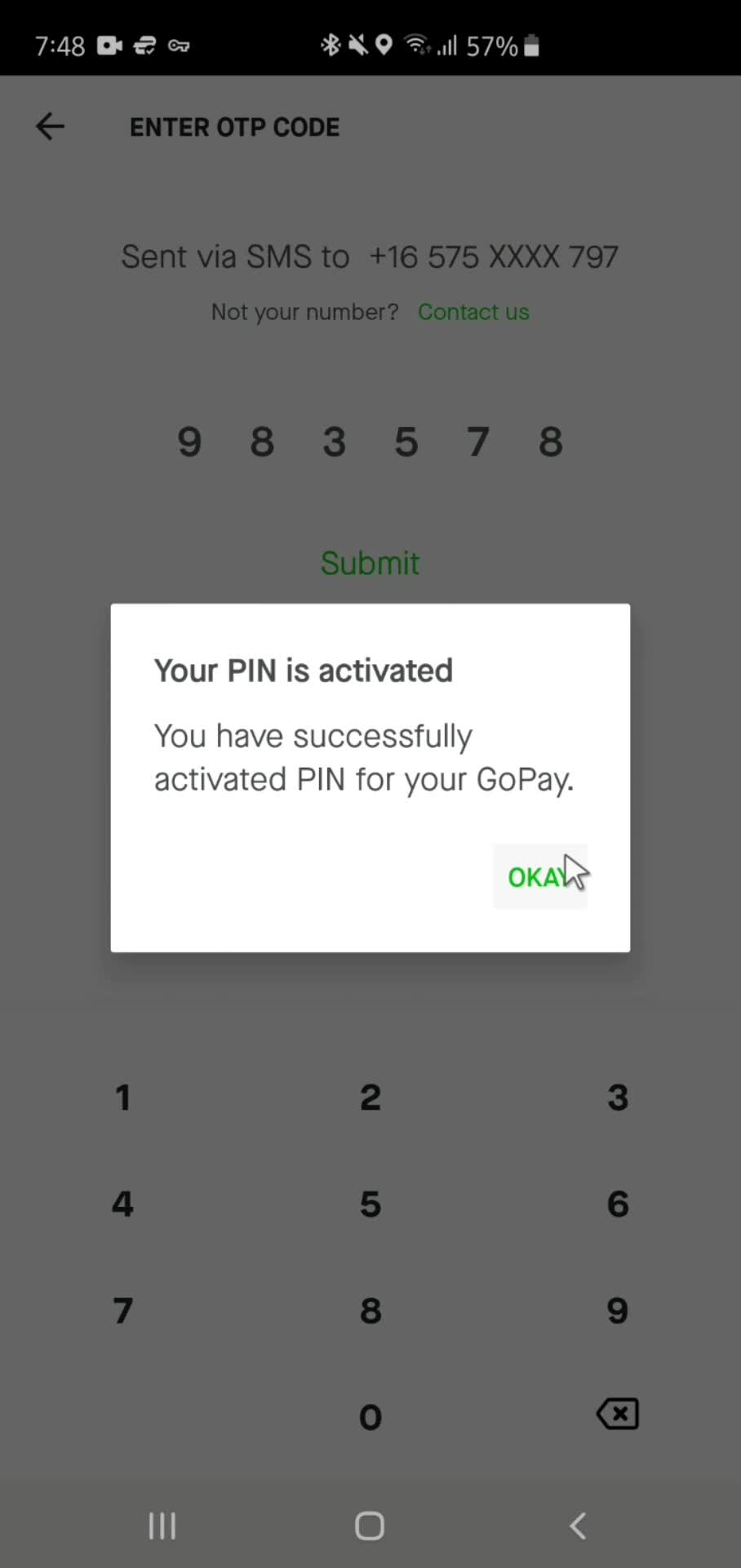 Setting a pin screenshot