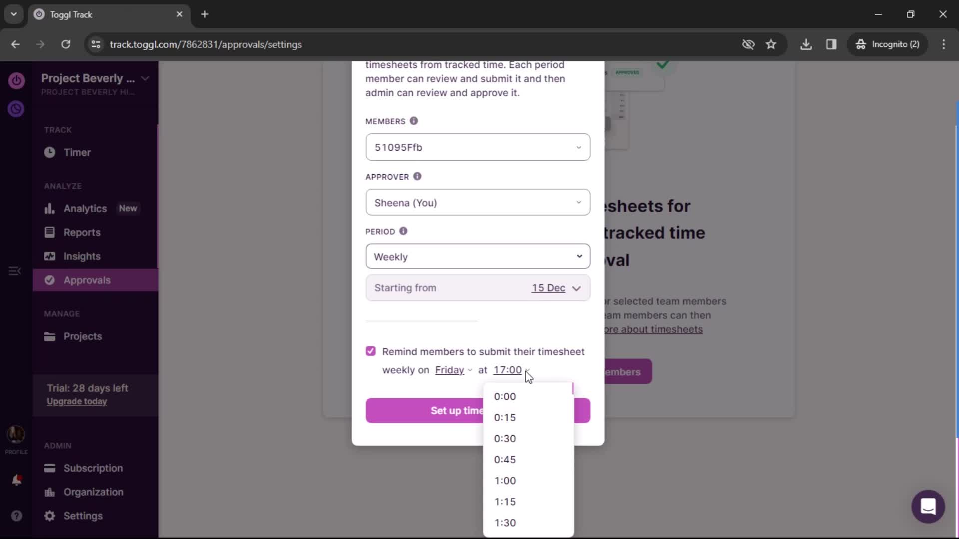 Setting up timesheet screenshot