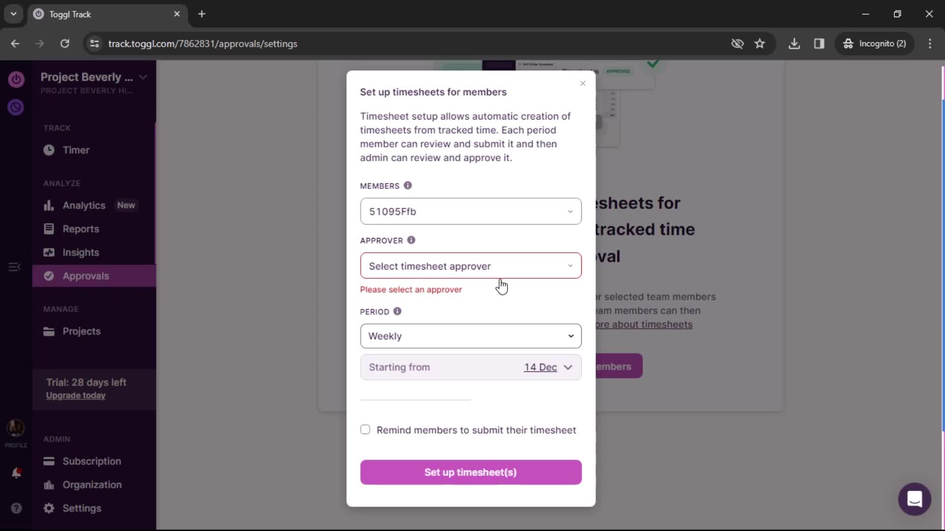 Setting up timesheet screenshot