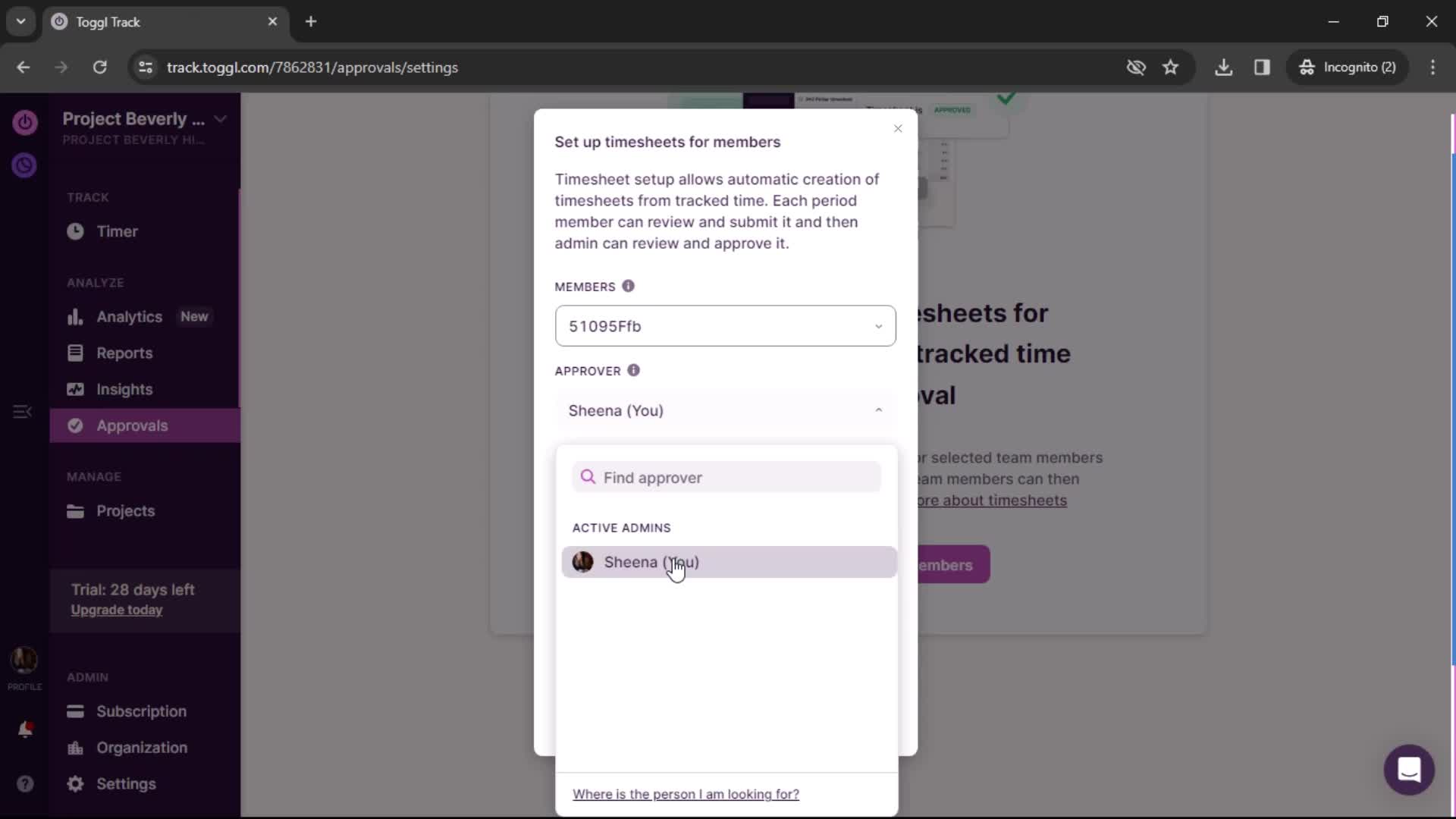 Setting up timesheet screenshot