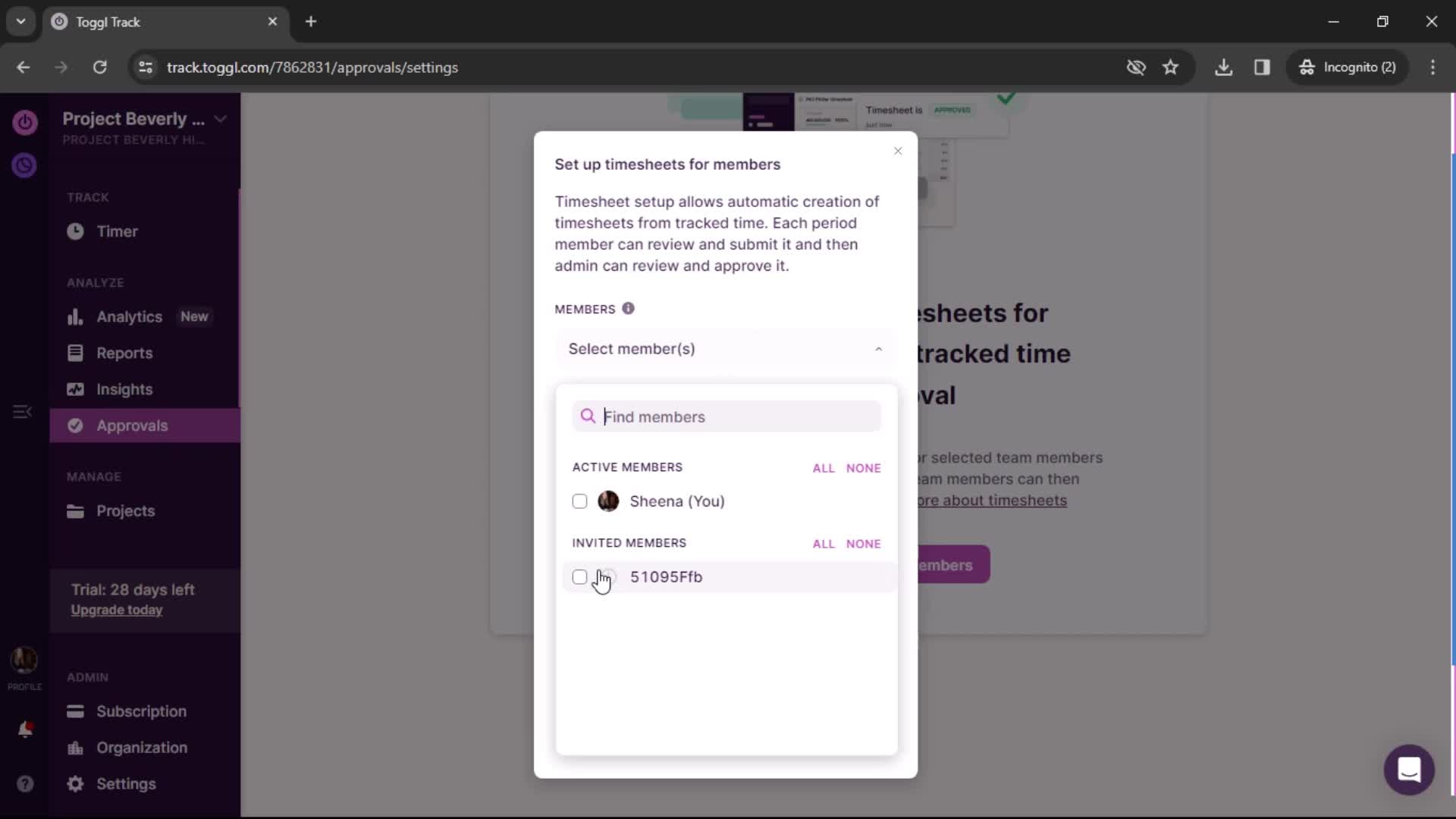 Setting up timesheet screenshot