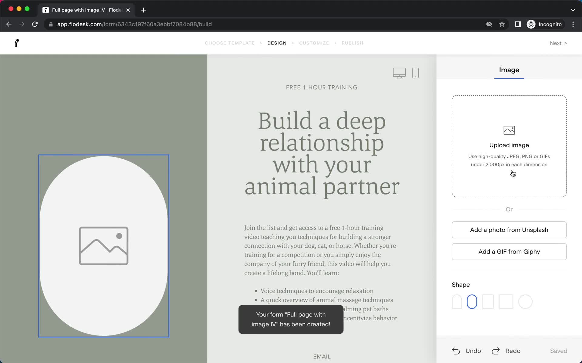 Creating a form screenshot