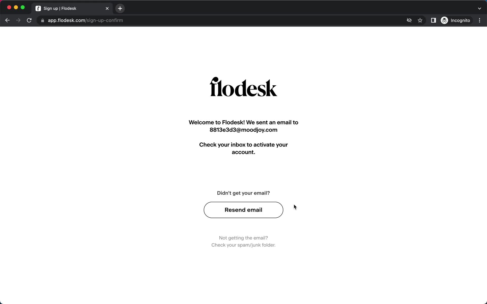 Flodesk check your inbox screenshot