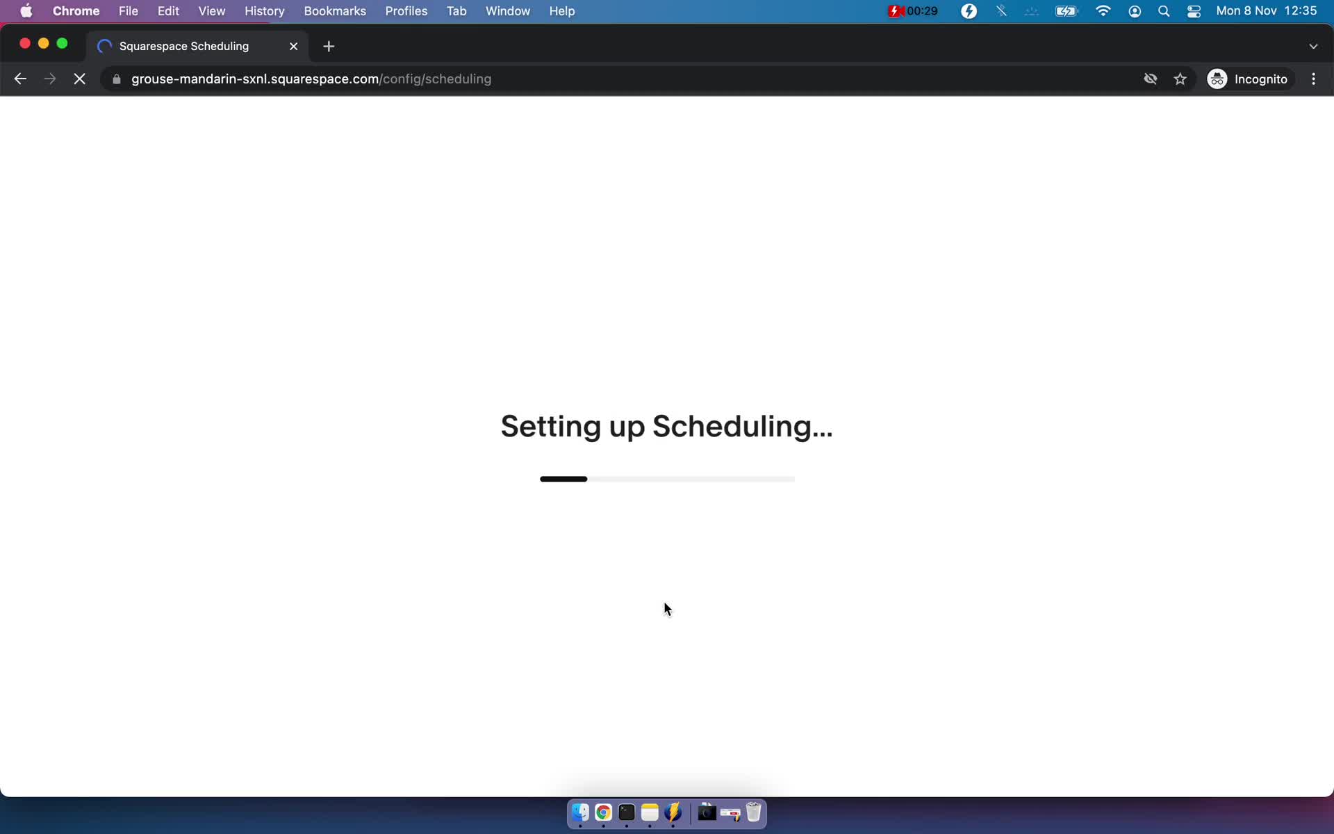 Squarespace Scheduling loading screenshot